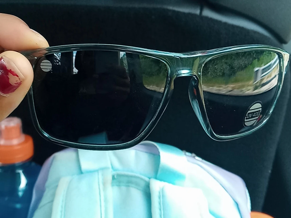 Clear Frame Sunglasses