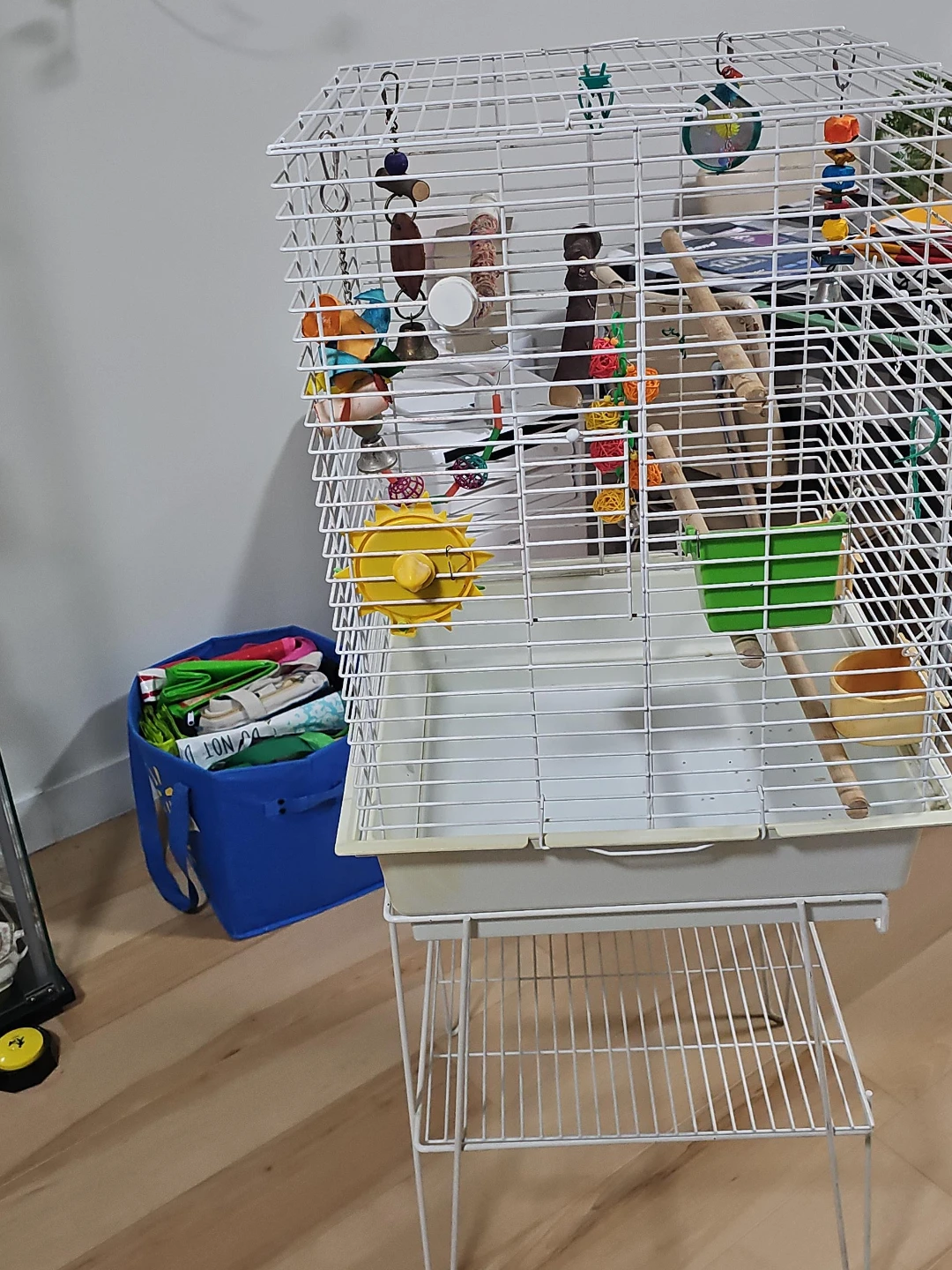 White Bird Cage with Accessories