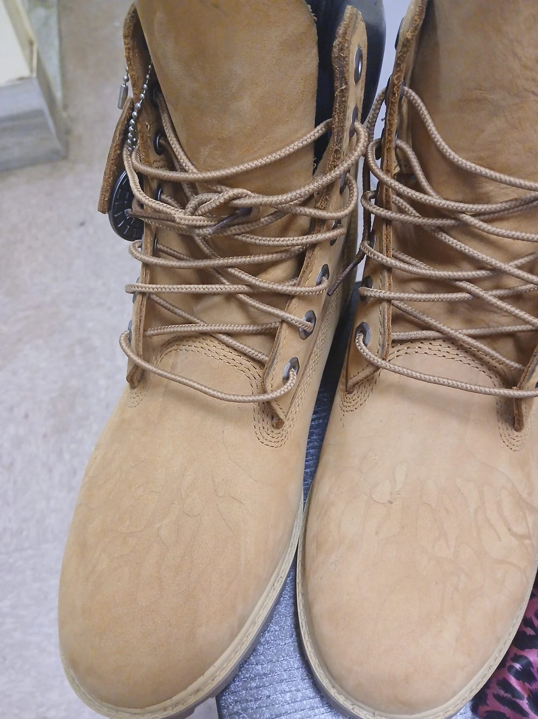Timberland rooted