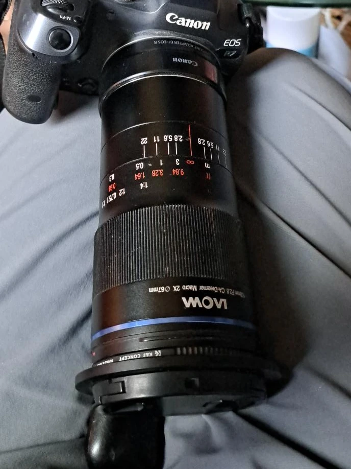 Laowa 100mm F2.8 CA-Dreamer Macro 2X Lens