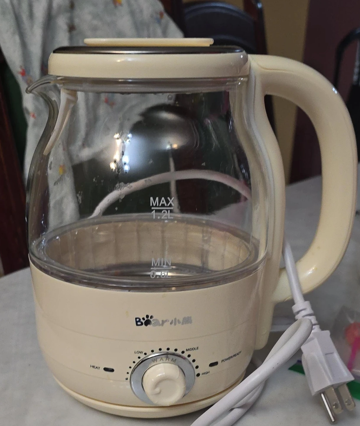 Bear Electric Kettle 1.2L