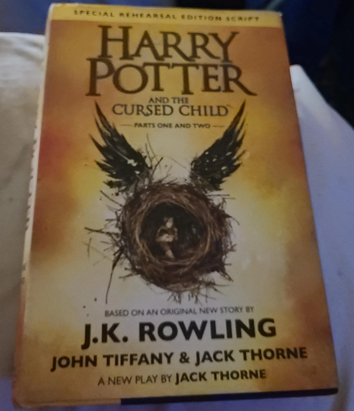 Harry Potter and the Cursed Child Special Rehearsal