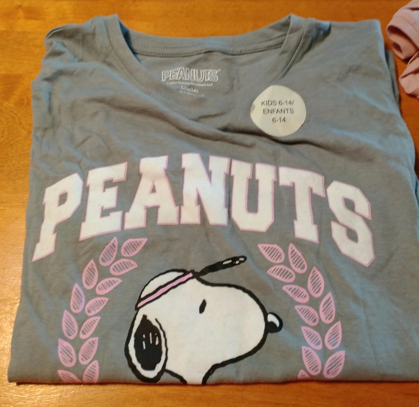 Peanuts Snoopy T-Shirt - Grey - Kids Size L (10/12)
