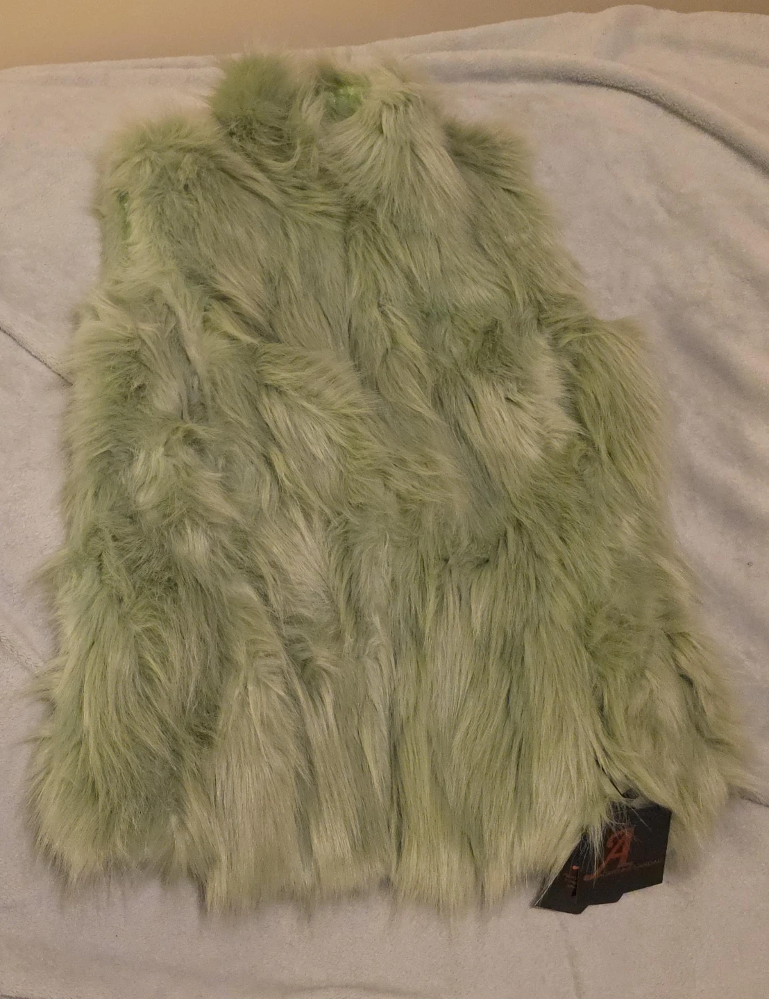 Mint Green Faux Fur Vest
