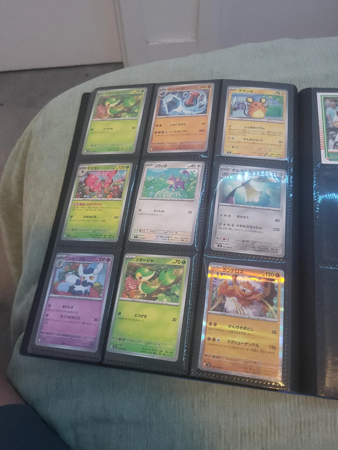 Pokemon Card Collection