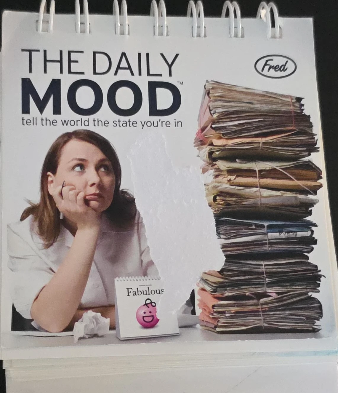 The Daily Mood Calendar by Fred