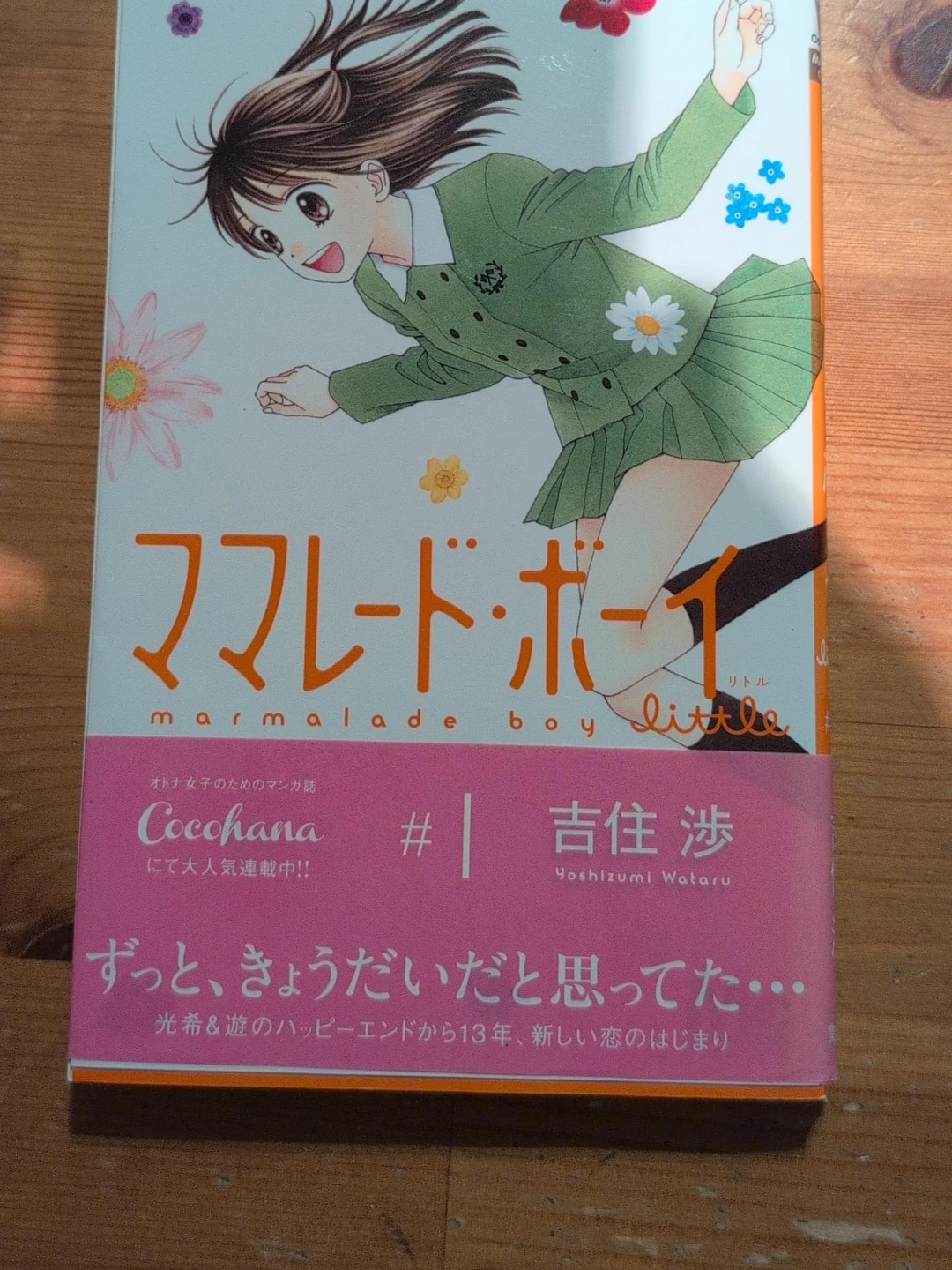 Marmalade Boy Little Manga