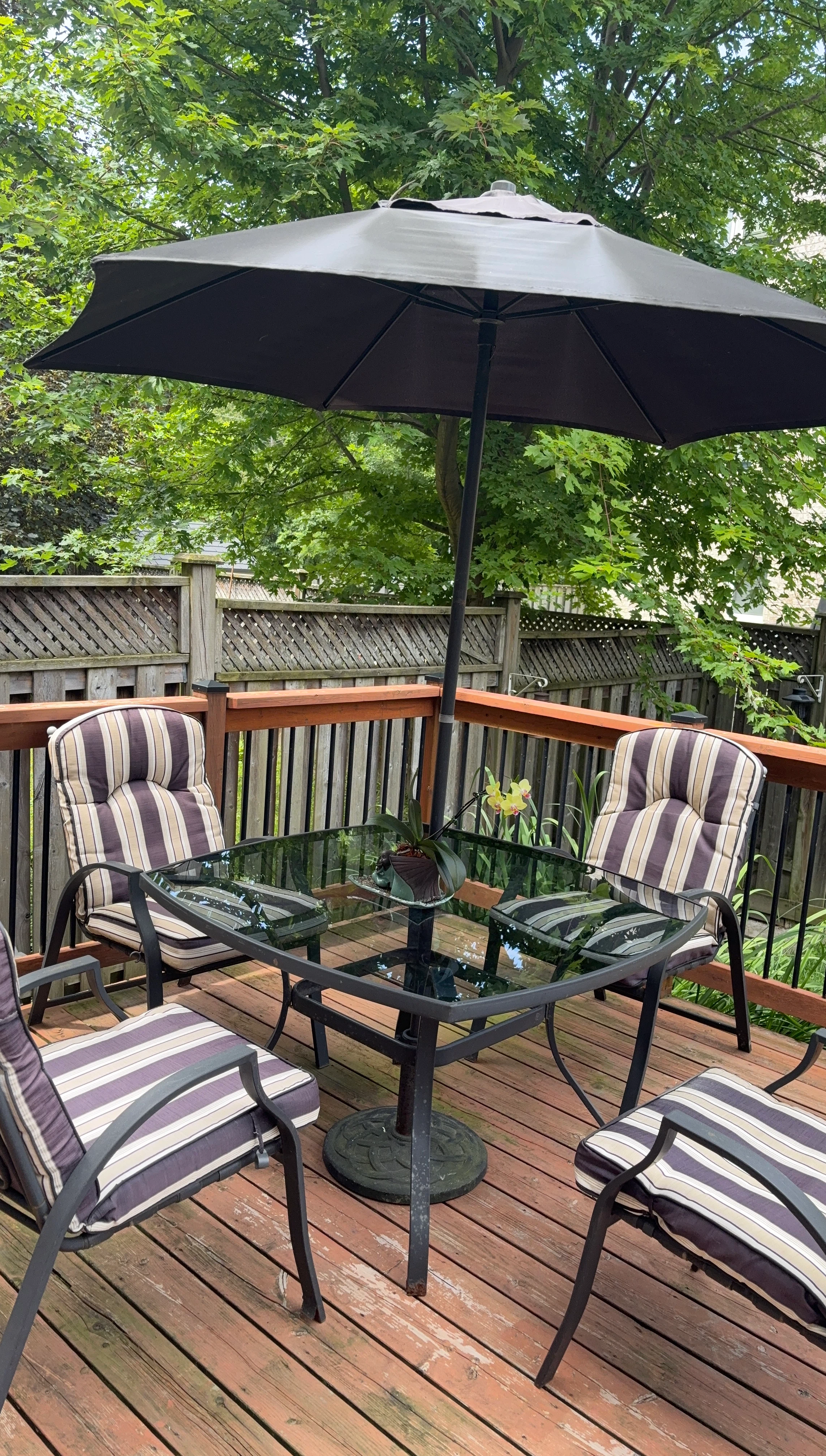 Glass Top Patio Table Set with Umbrella and Cushioned Chairs