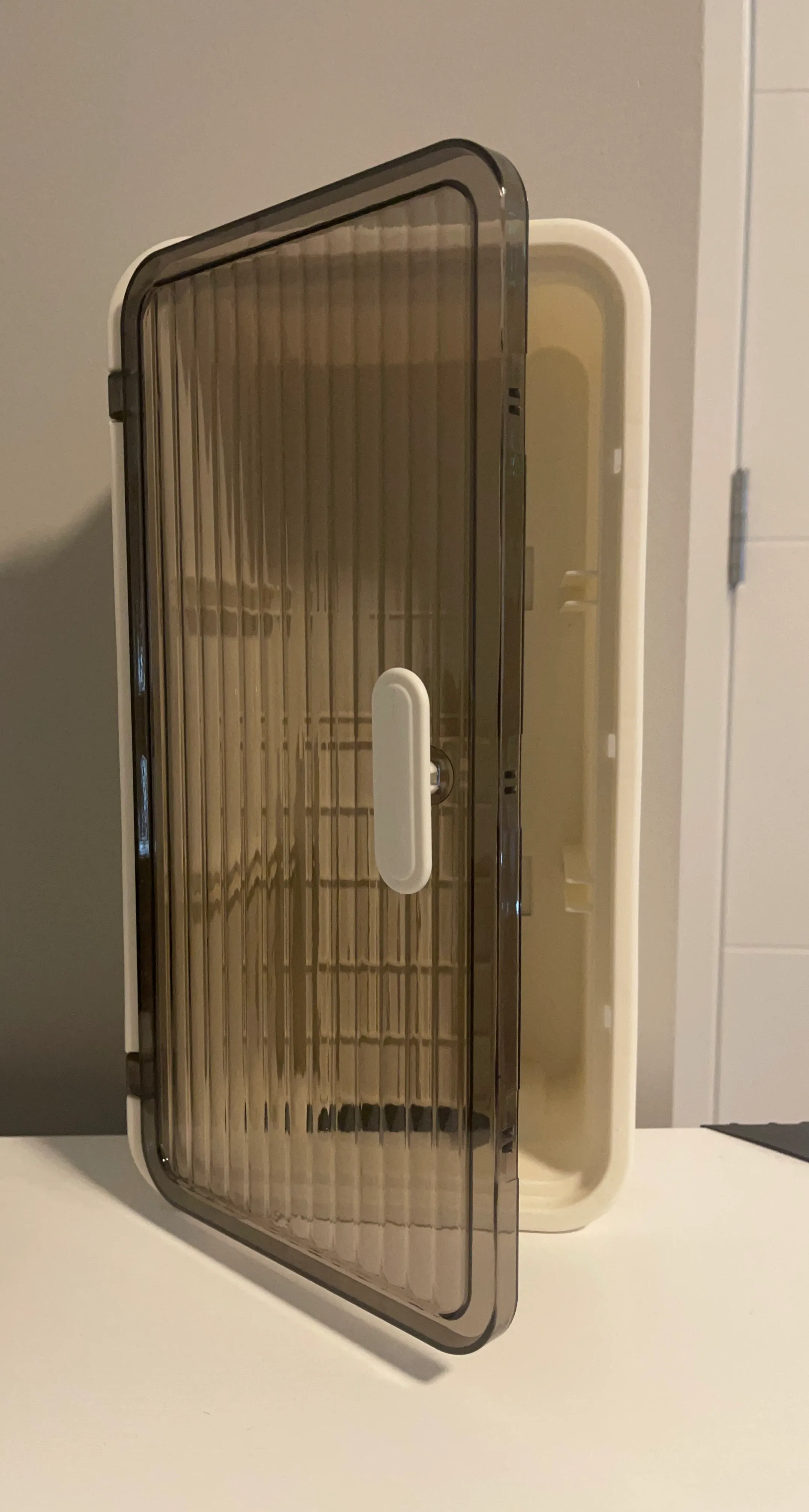 Clear Wall Mounted Storage Box with Frosted Door