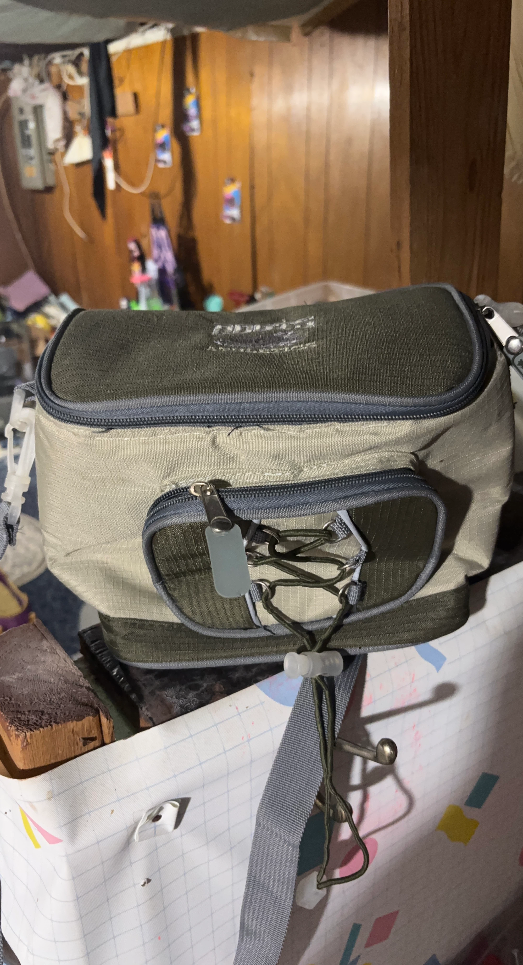 Outdoor lunch bag