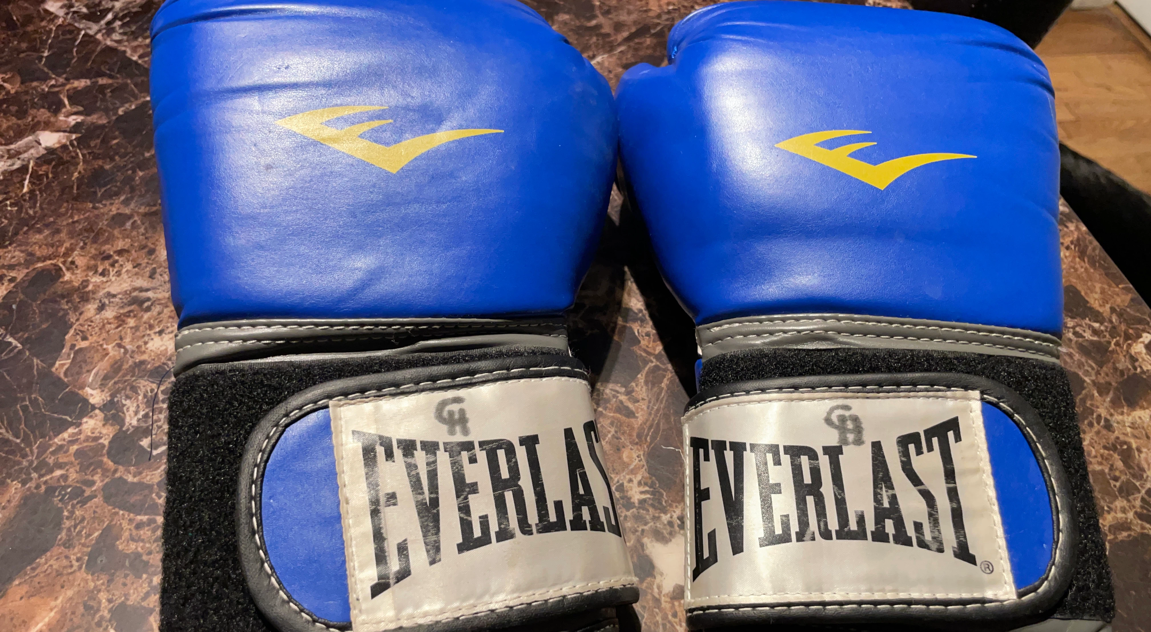 Everlast Blue Boxing Gloves