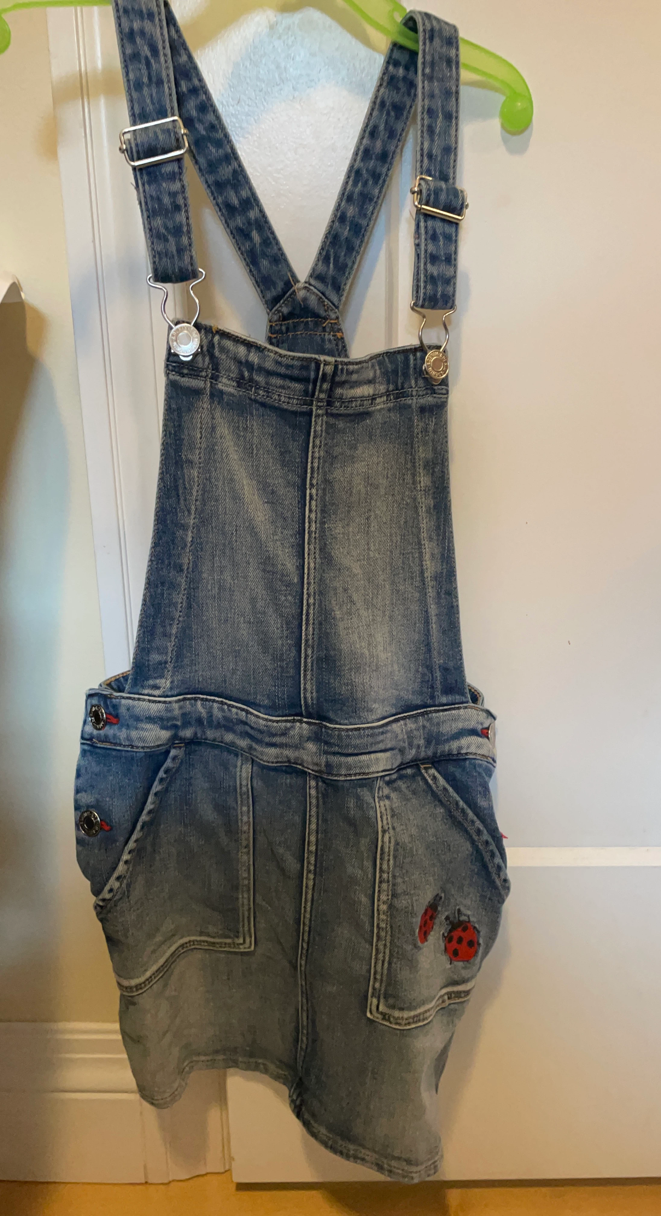 Kids Denim Overalls with Ladybug Embroidery