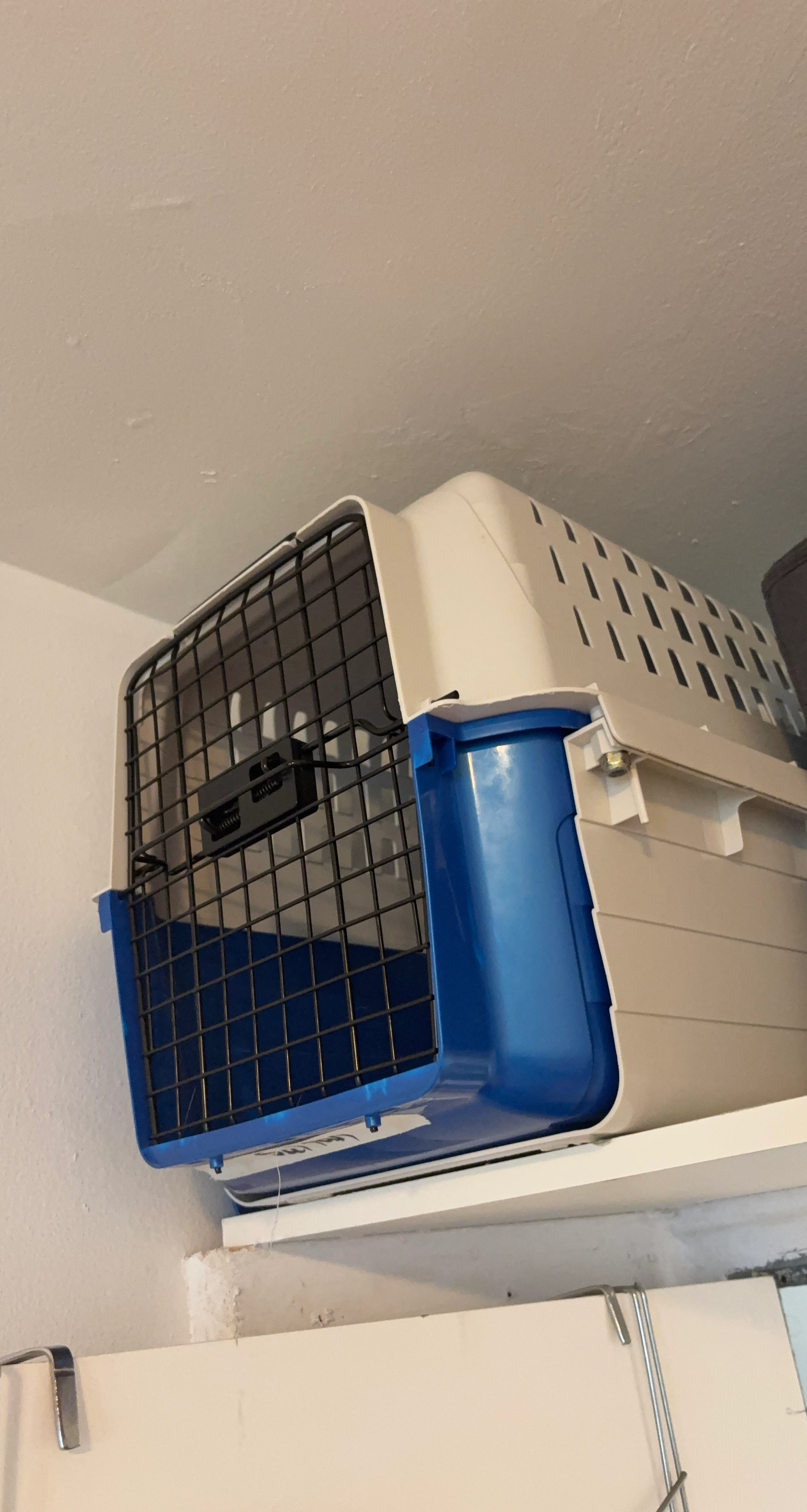 Pet Carrier