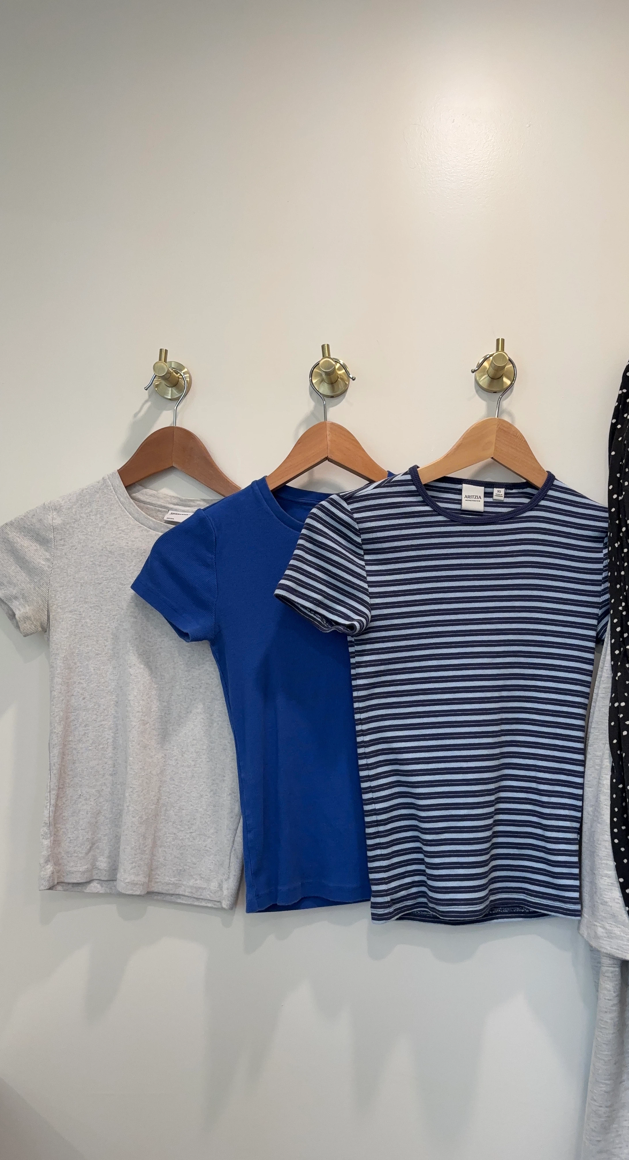 Aritzia T-shirts (3 pack)