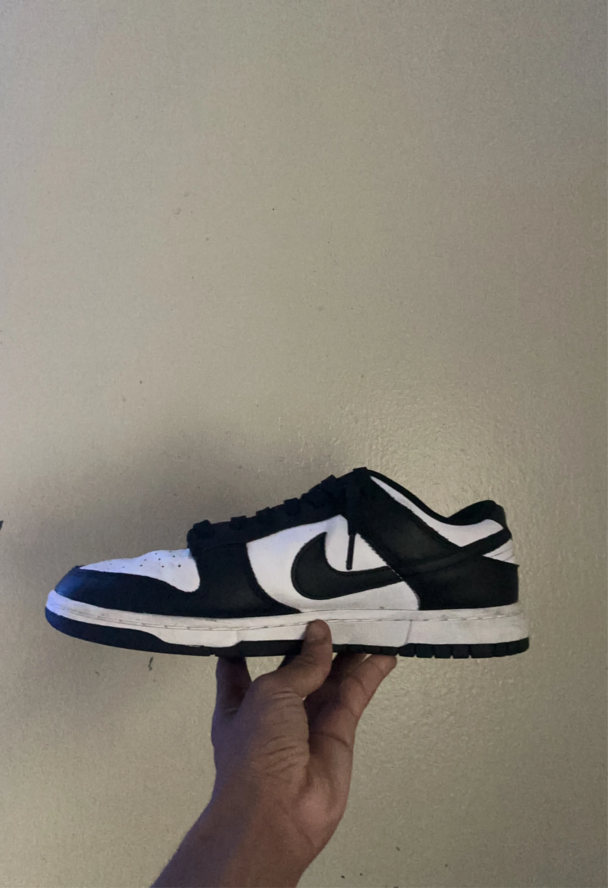 Nike Dunk Low Black White Men's Shoes