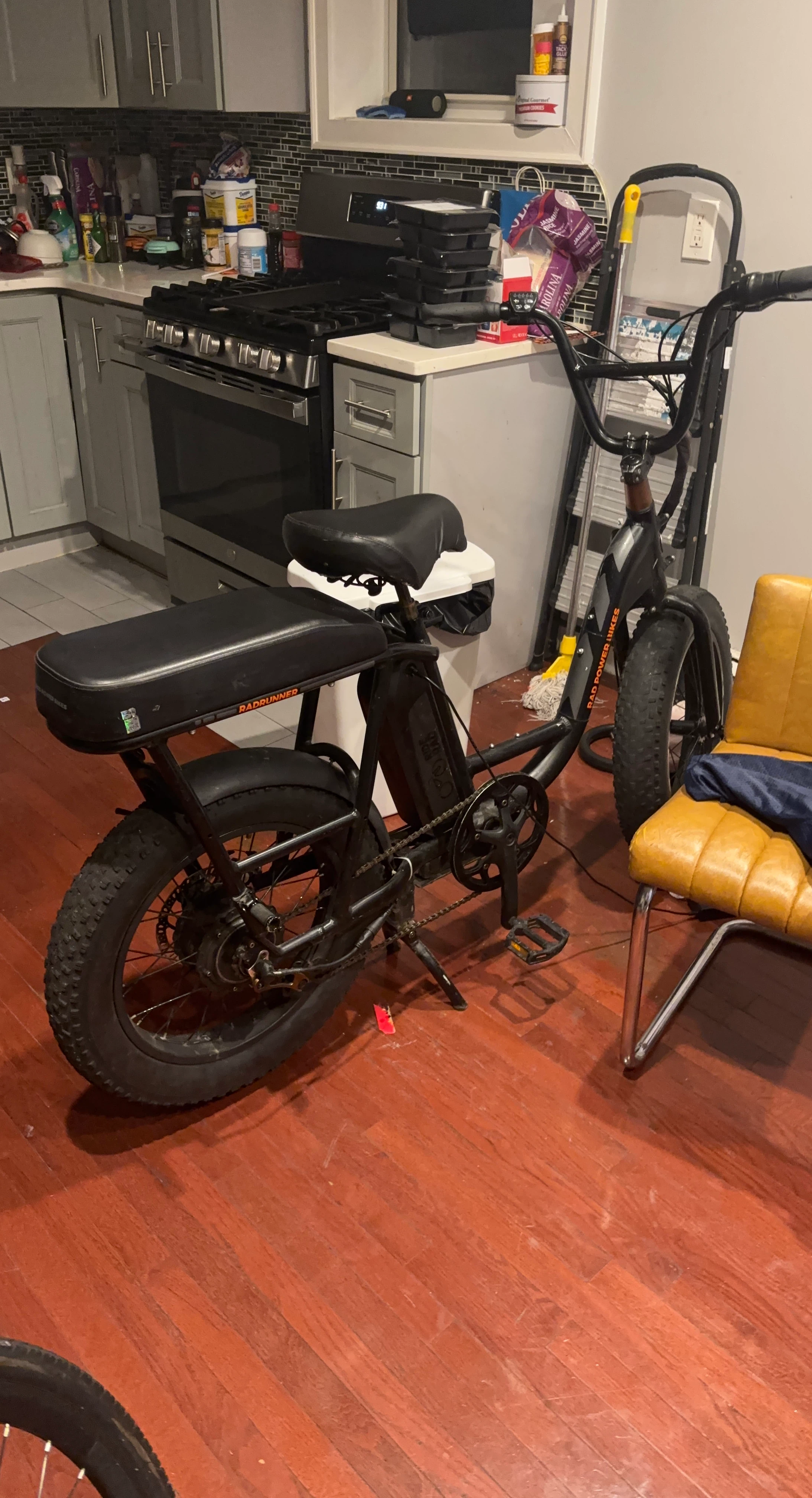 RadRunner Electric Bike