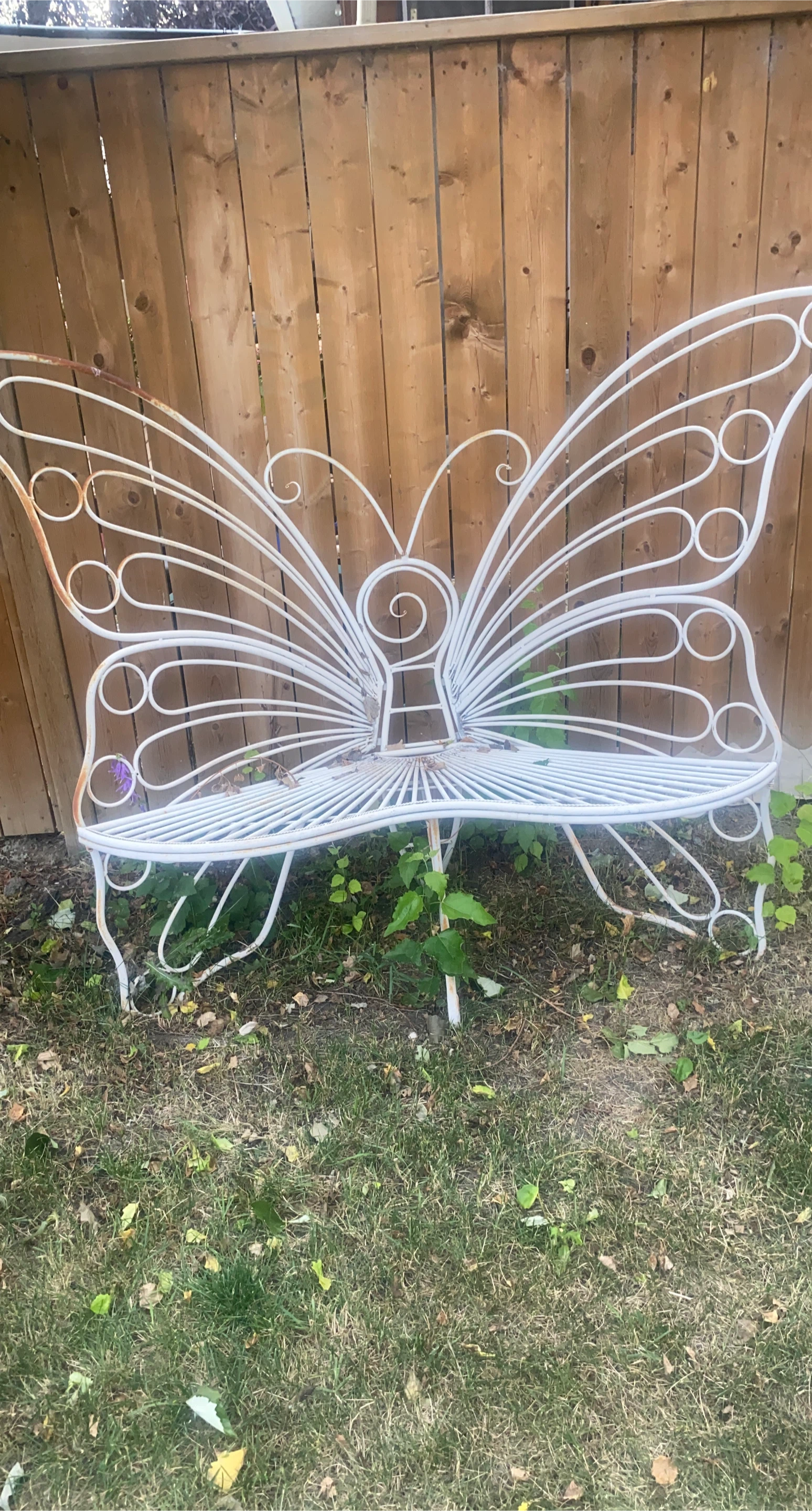 White Metal Butterfly Garden Bench