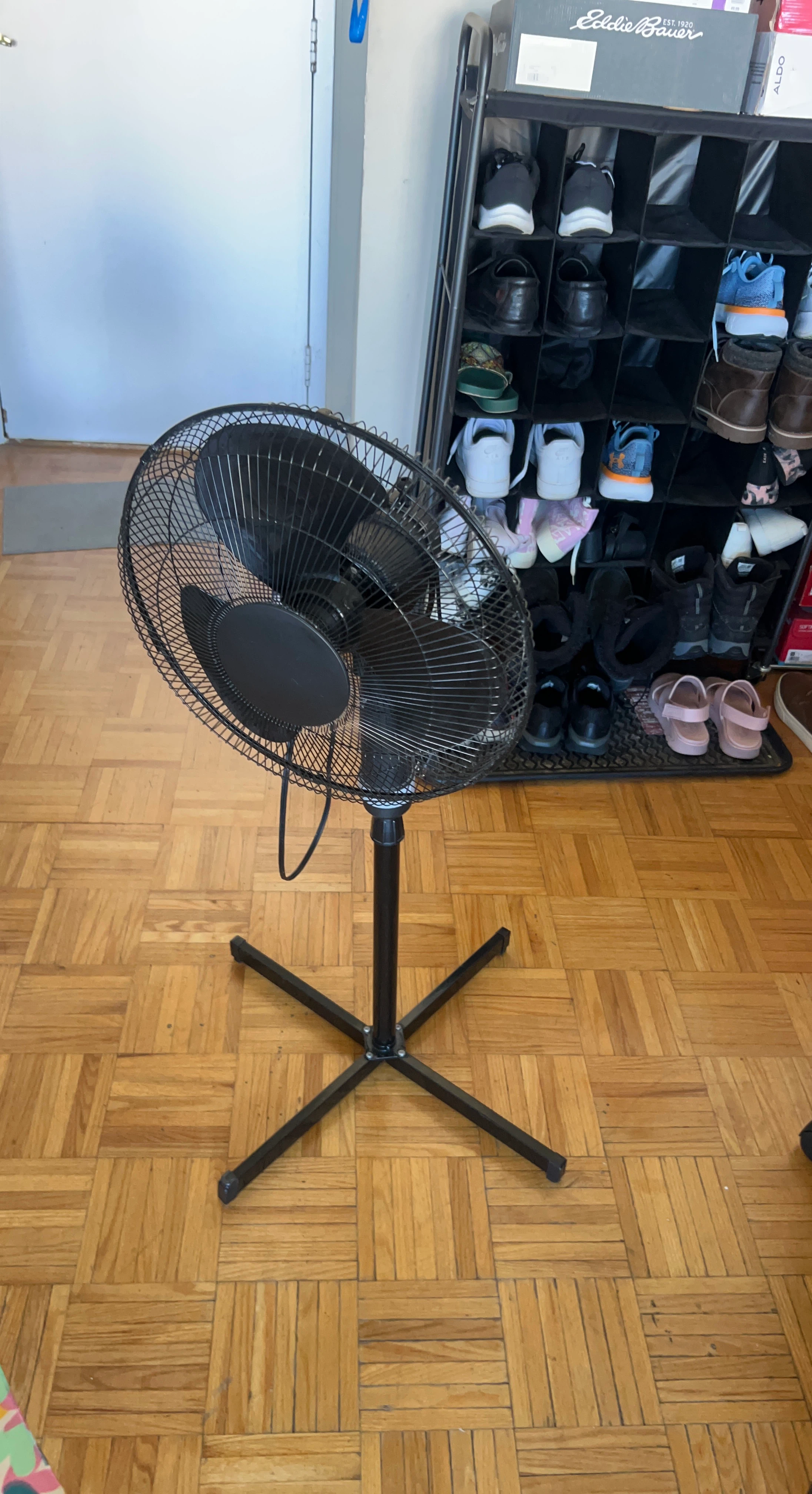 Black Oscillating Pedestal Fan