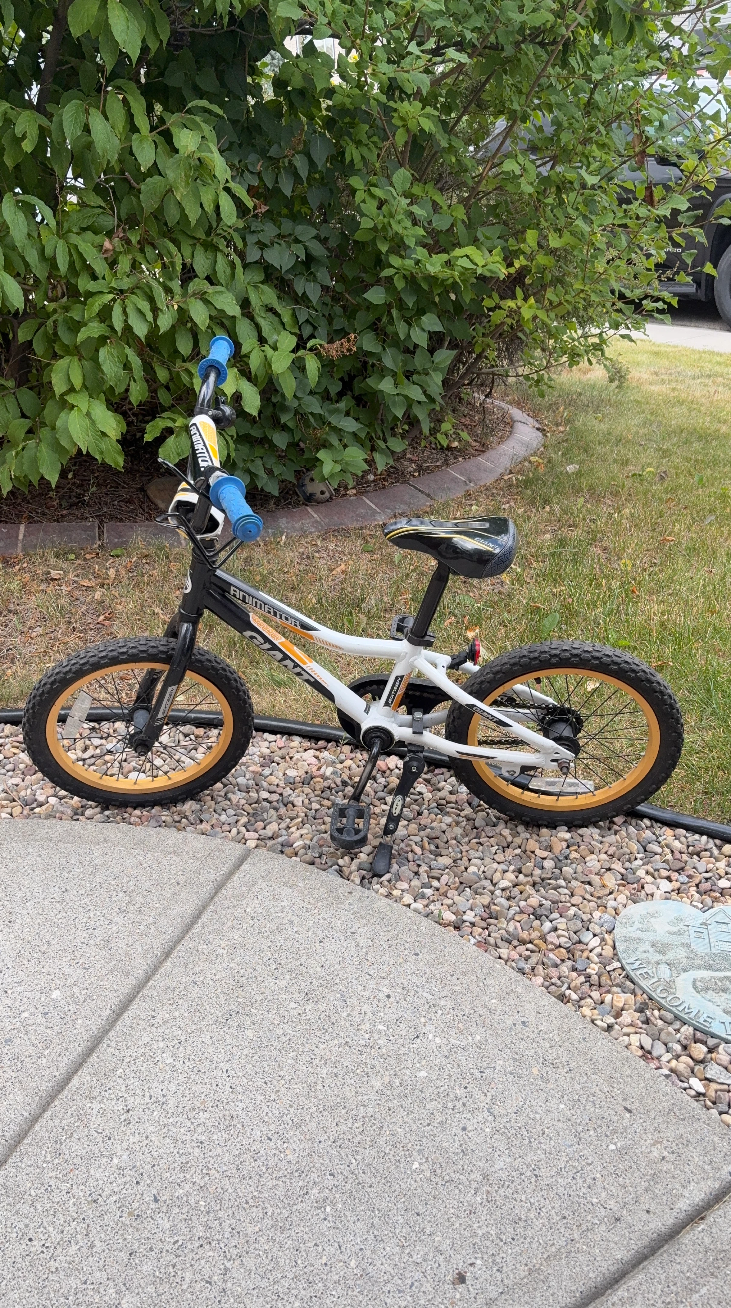 Kids BMX Bike
