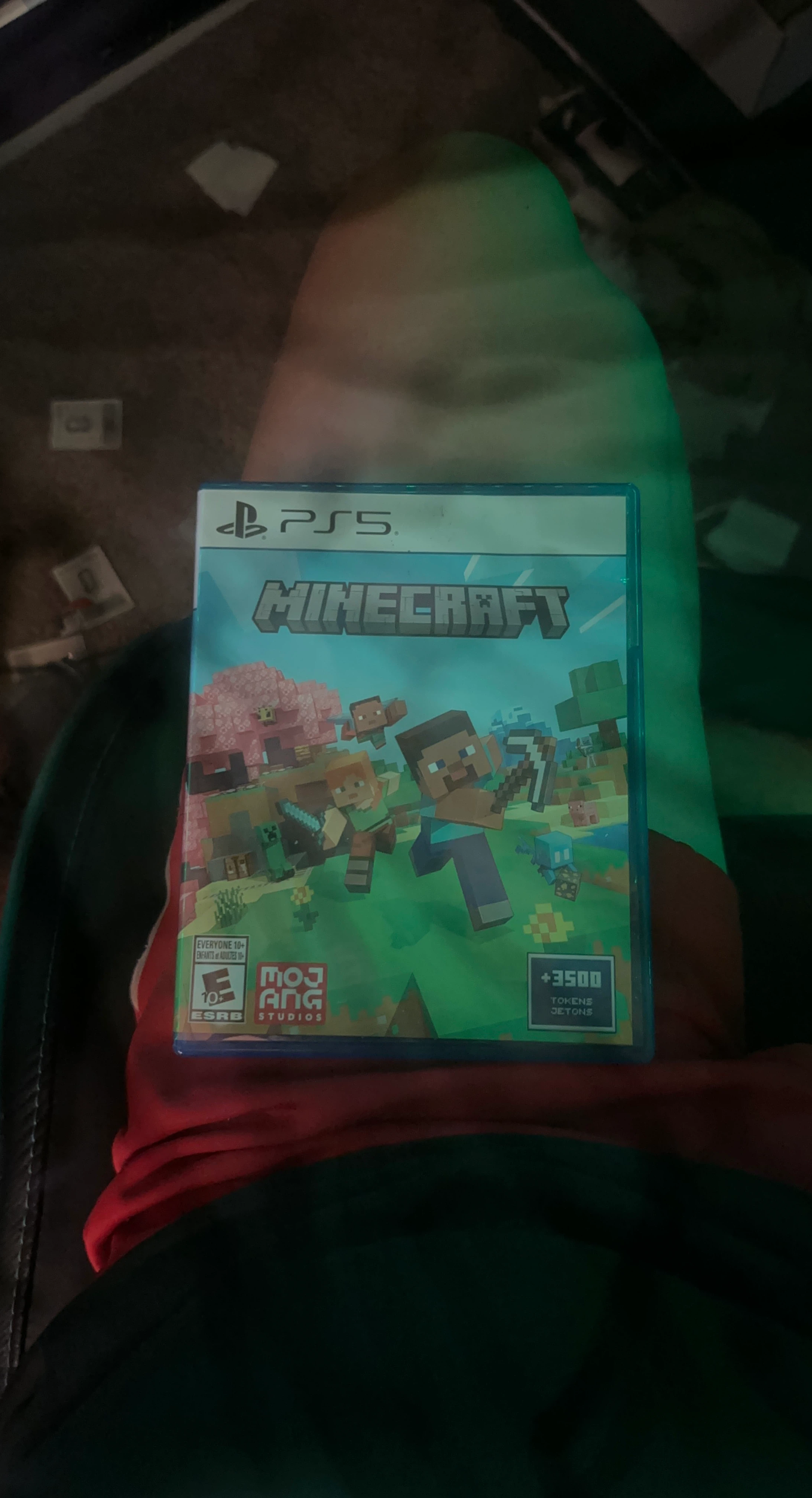 Minecraft PS5 Game