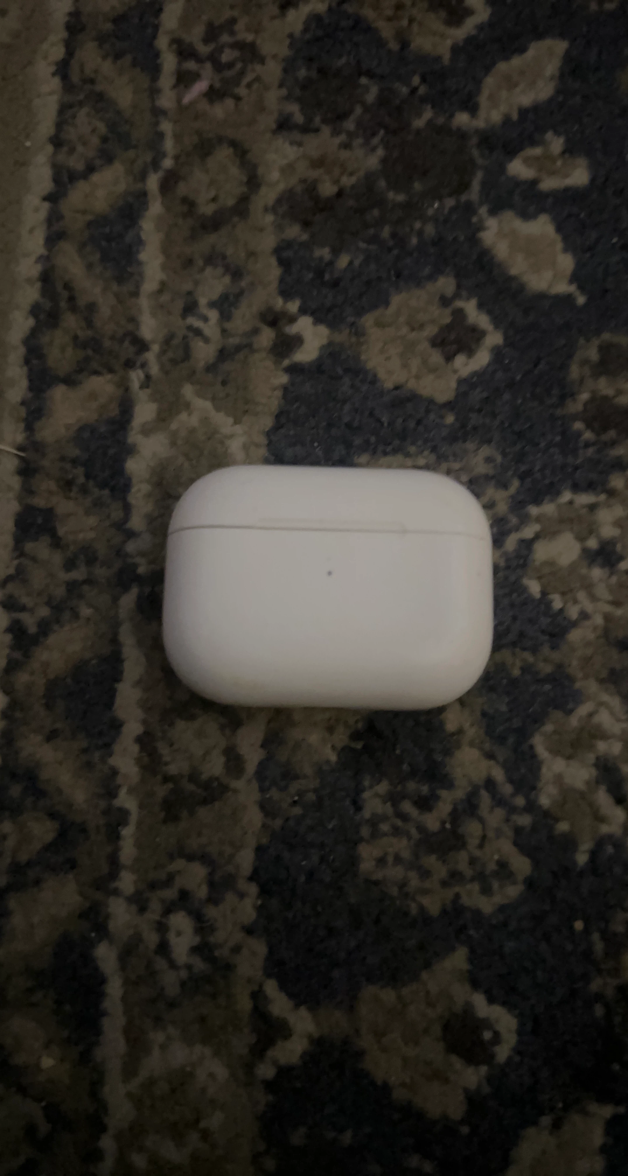 Apple AirPods Pro Charging Case