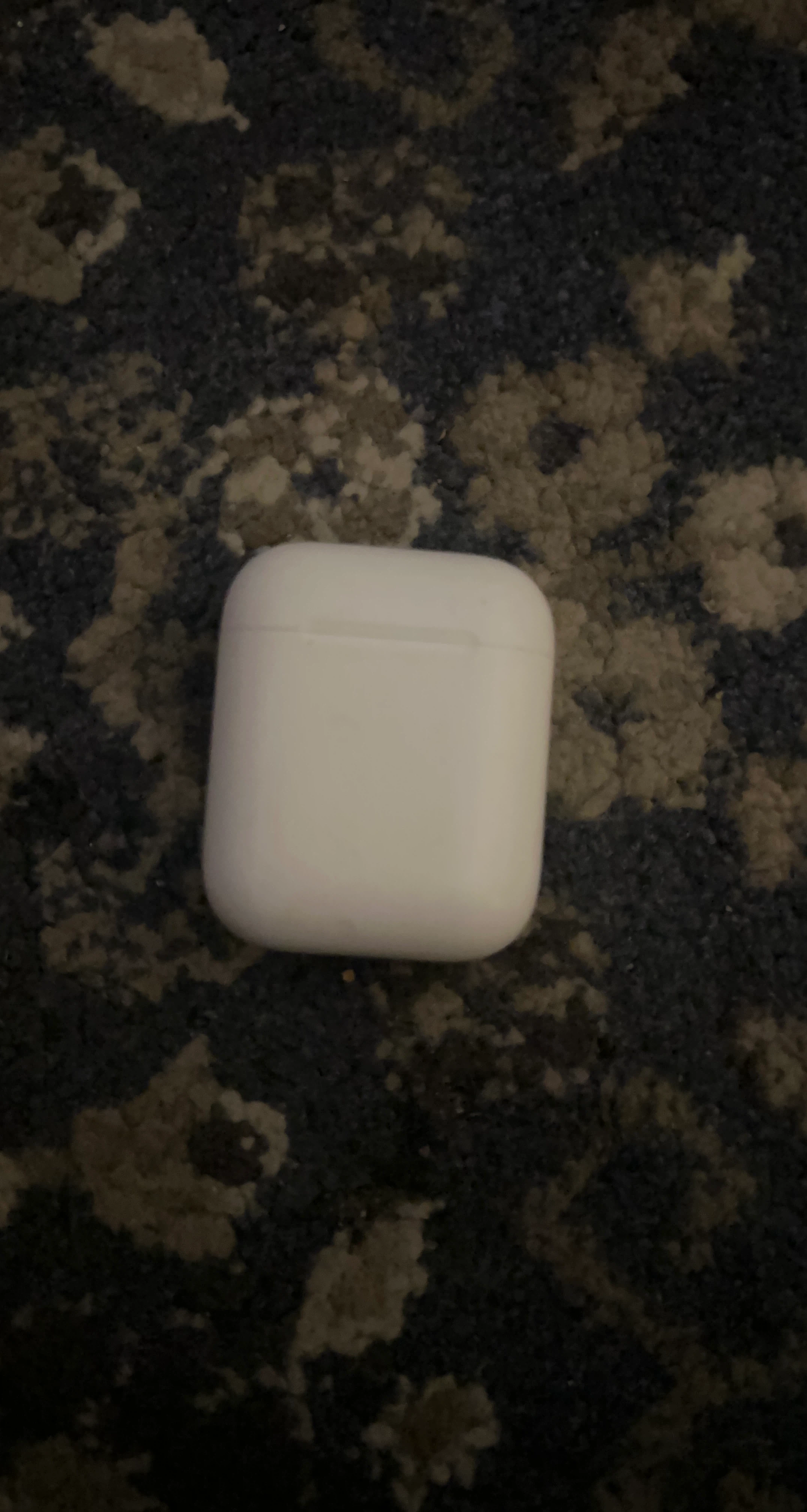 Apple AirPods Pro Charging Case