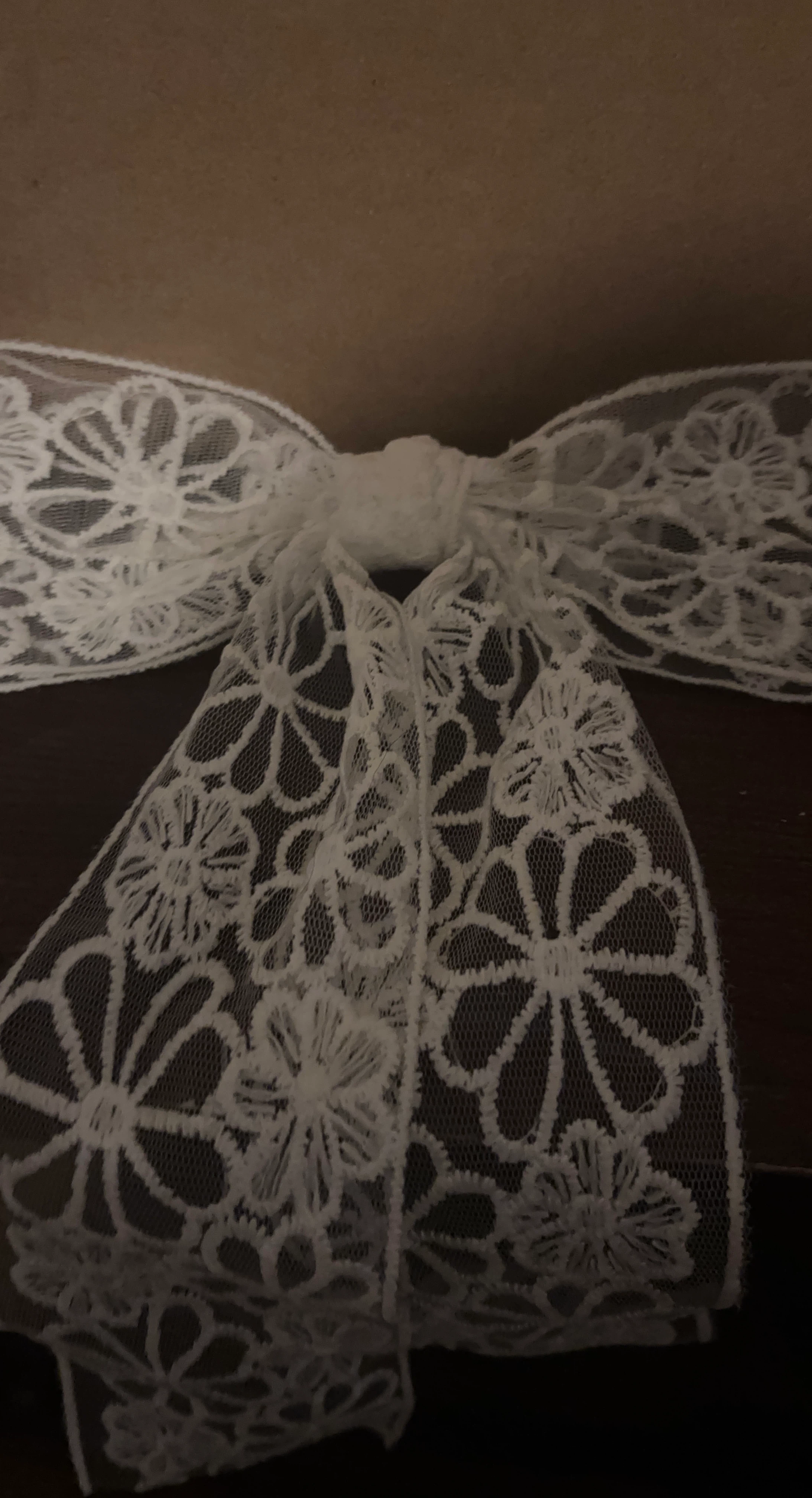 White Lace Bow Accent