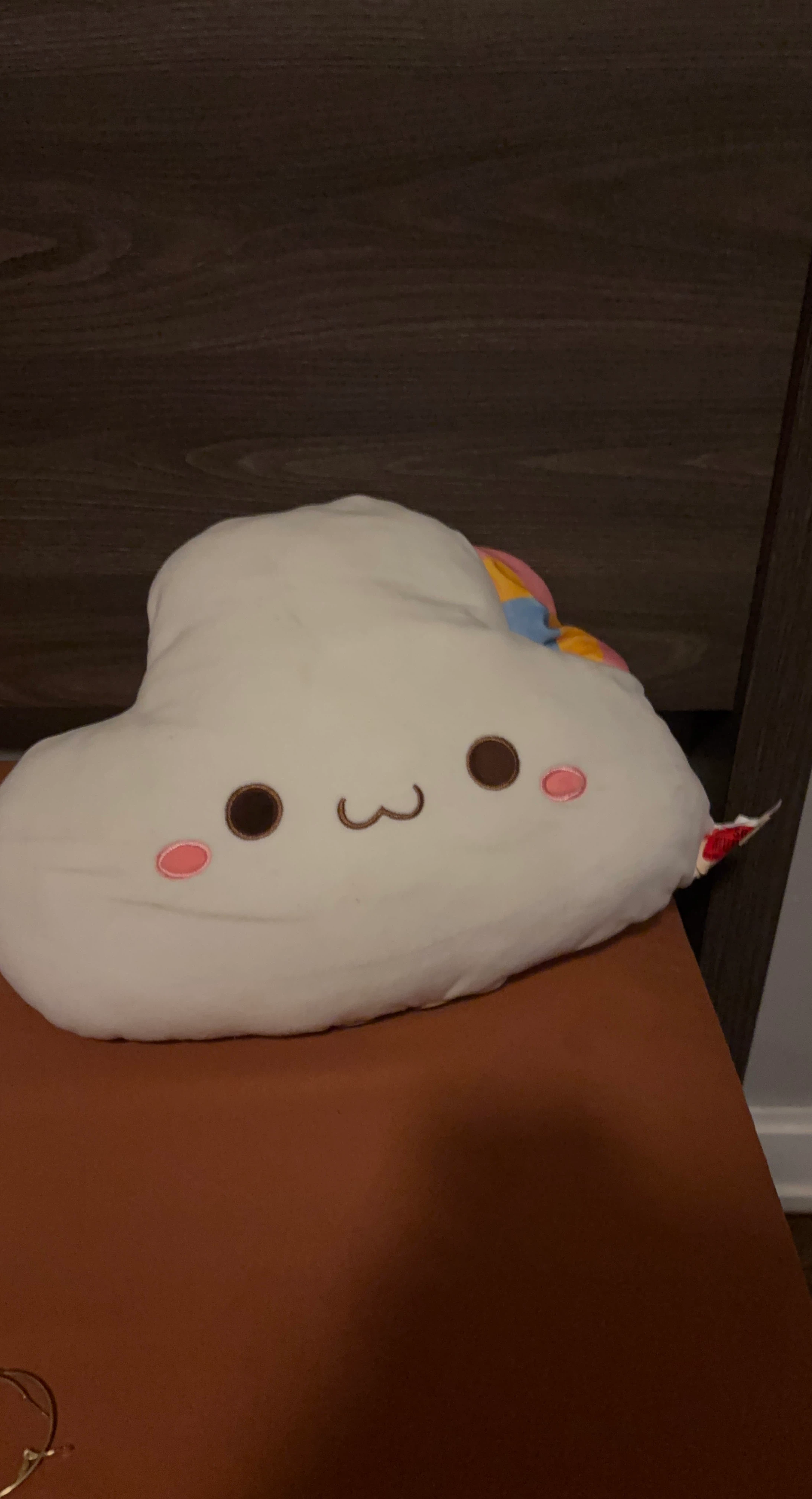 Cute Cloud Plush Pillow