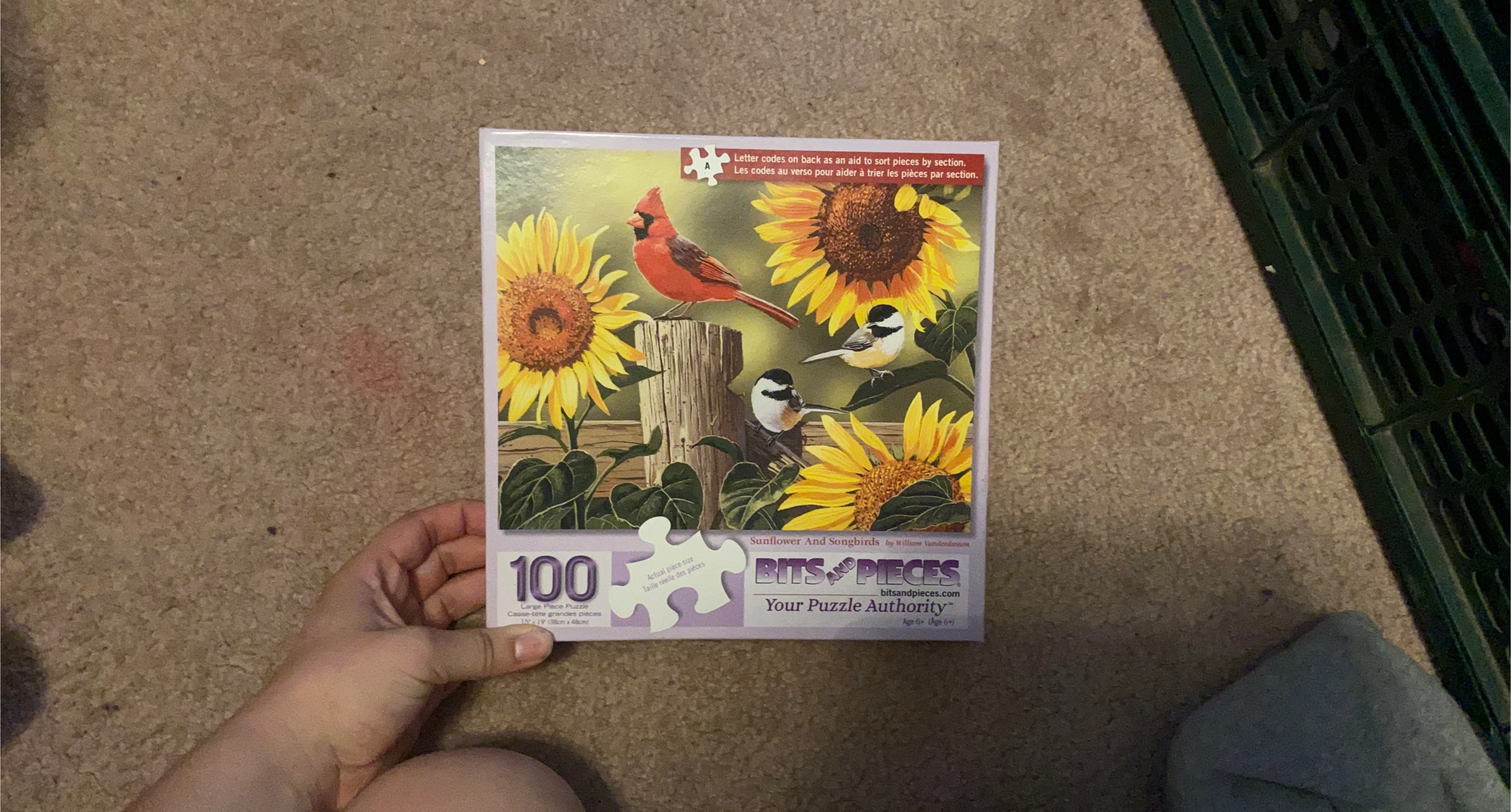 Bits and Pieces Sunflower and Songbirds 100 Piece Jigsaw Puzzle