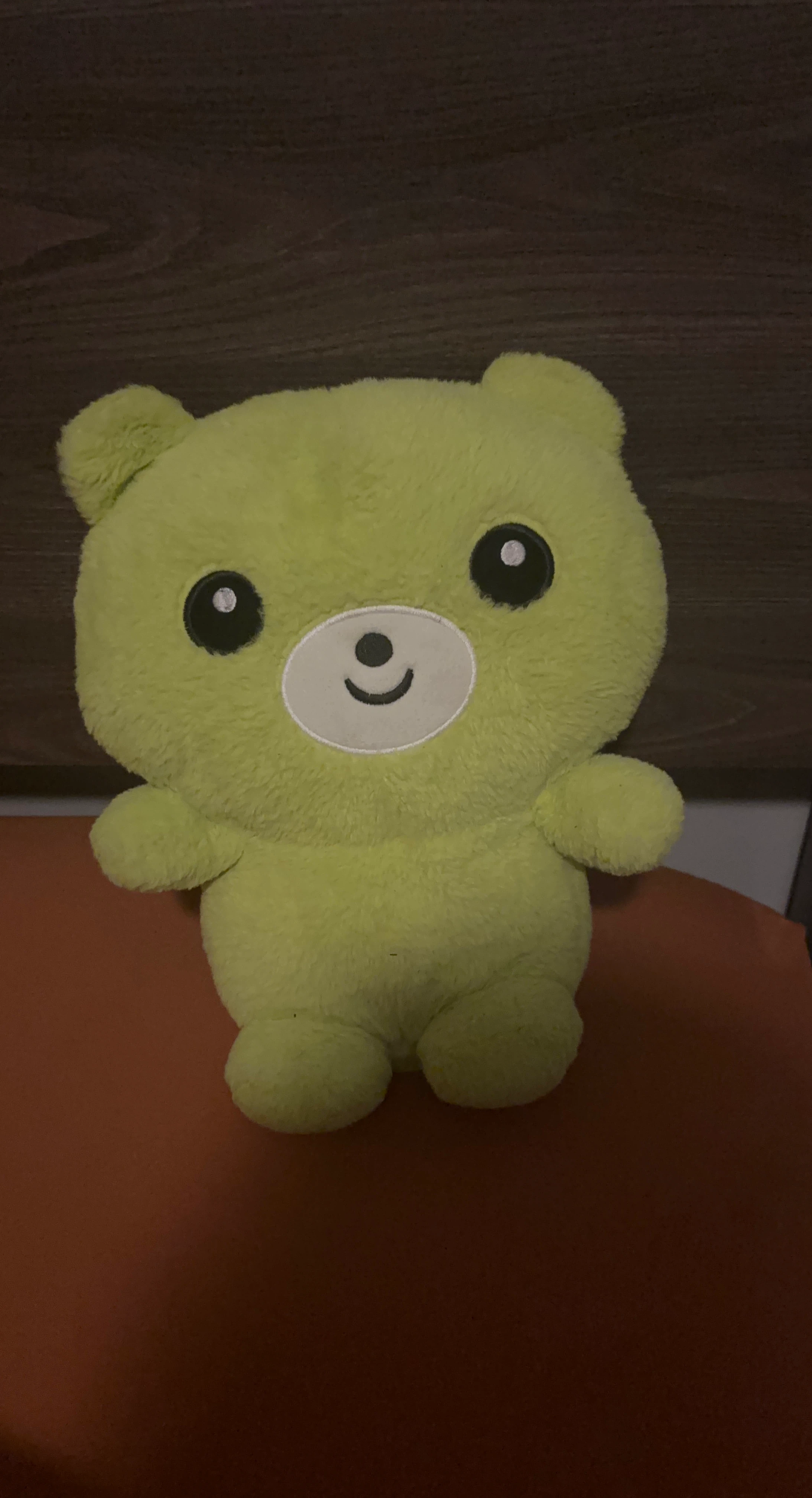 Lime Green Teddy Bear Plush