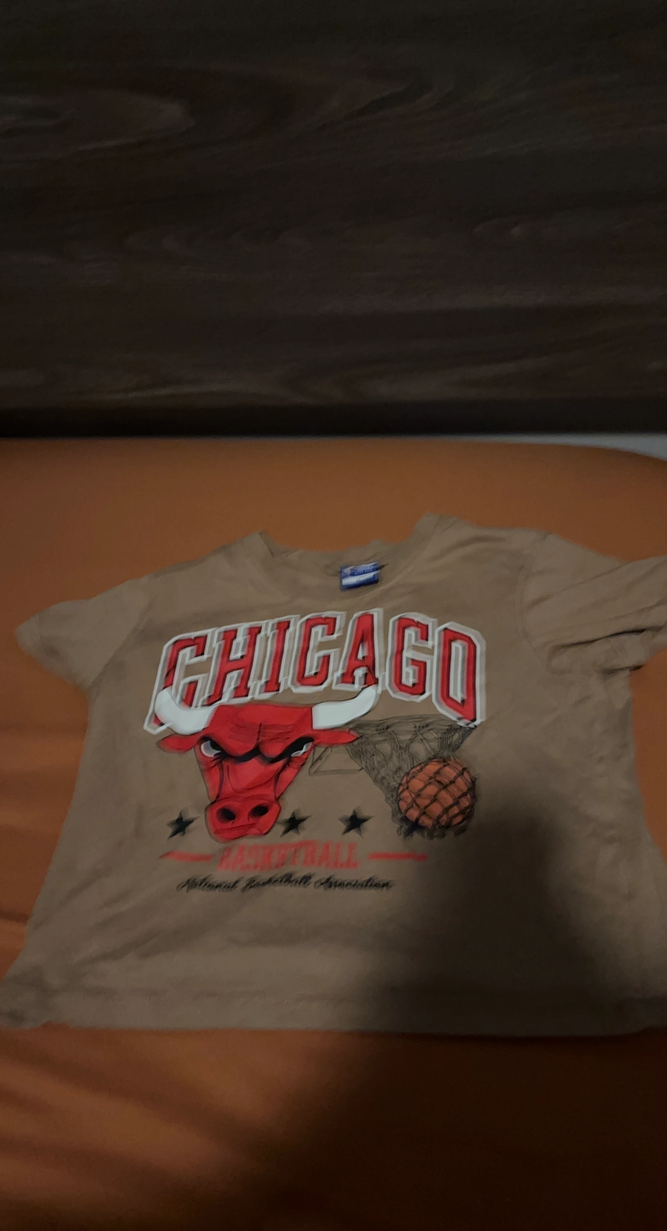 Chicago Bulls Basketball T-Shirt