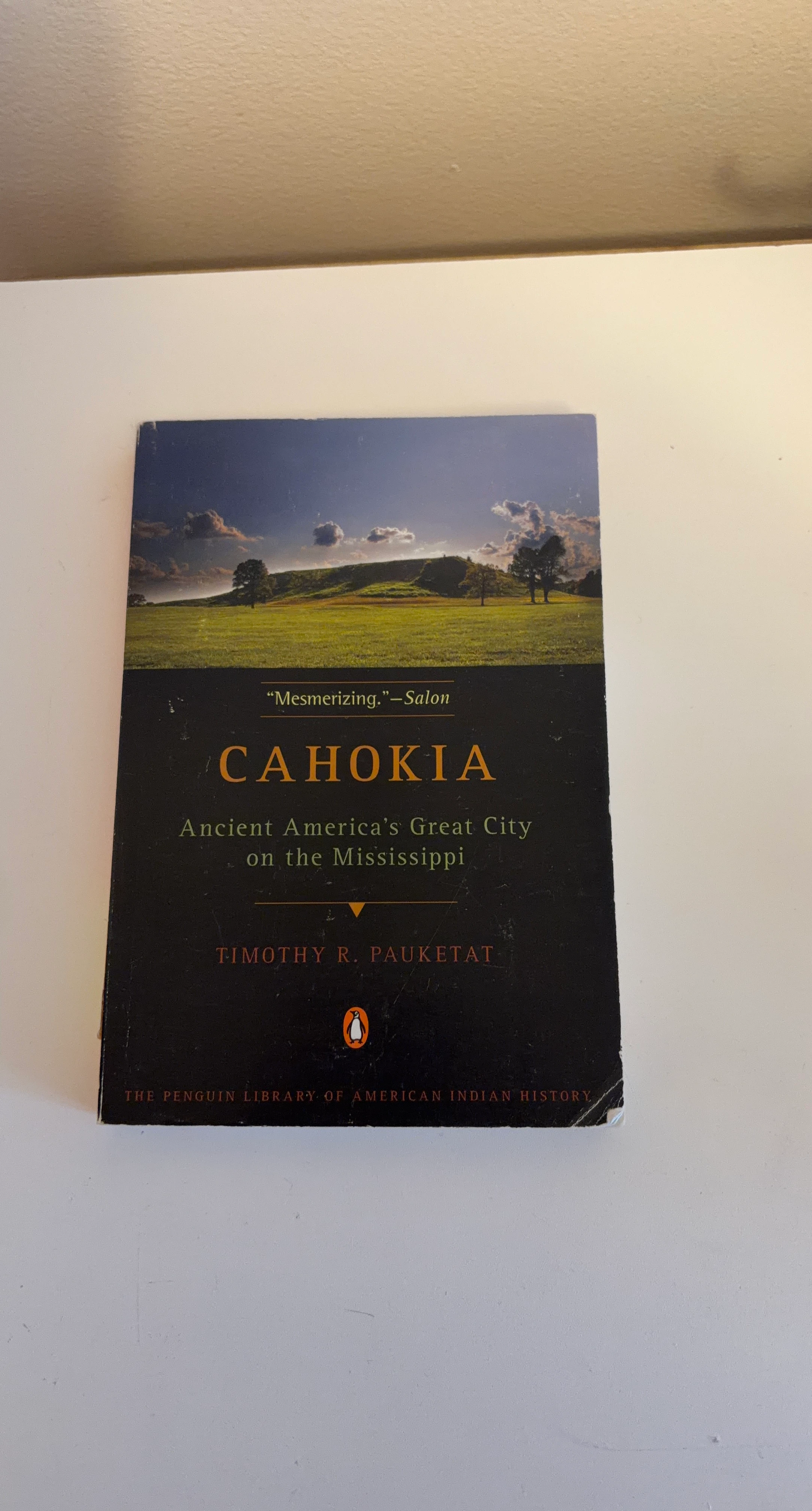 Cahokia: Ancient America's Great City on the Mississippi