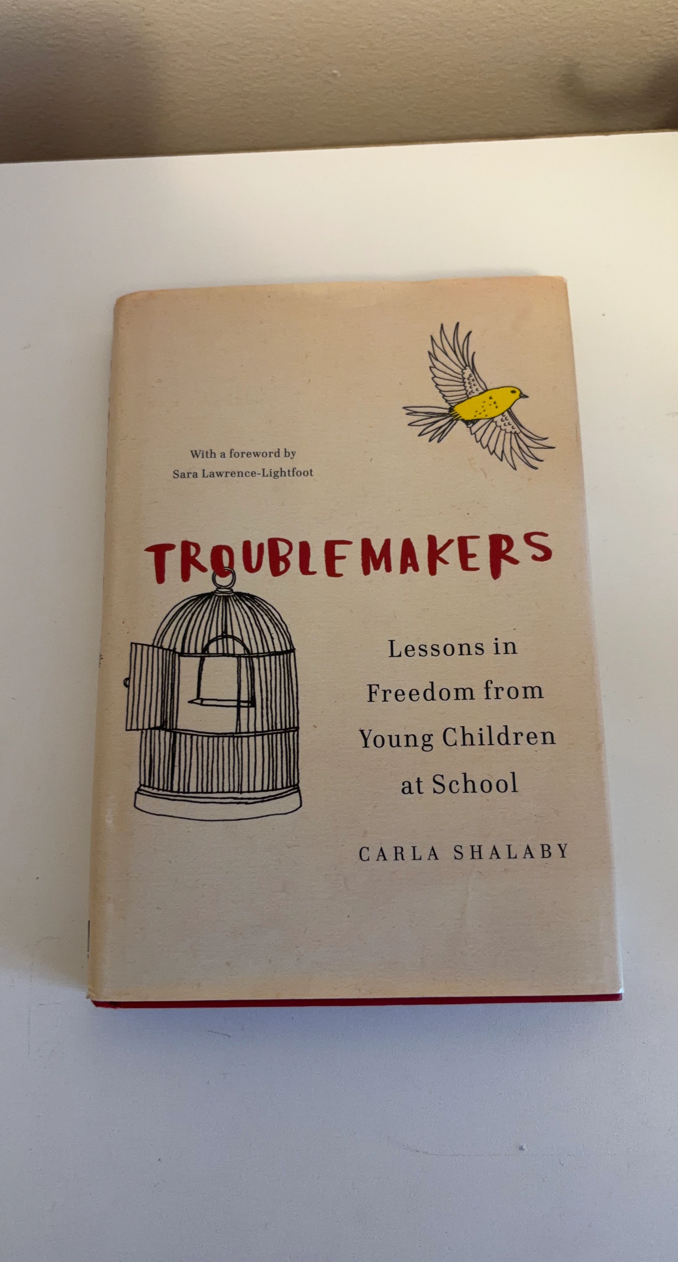 Troublemakers by Carla Shalaby