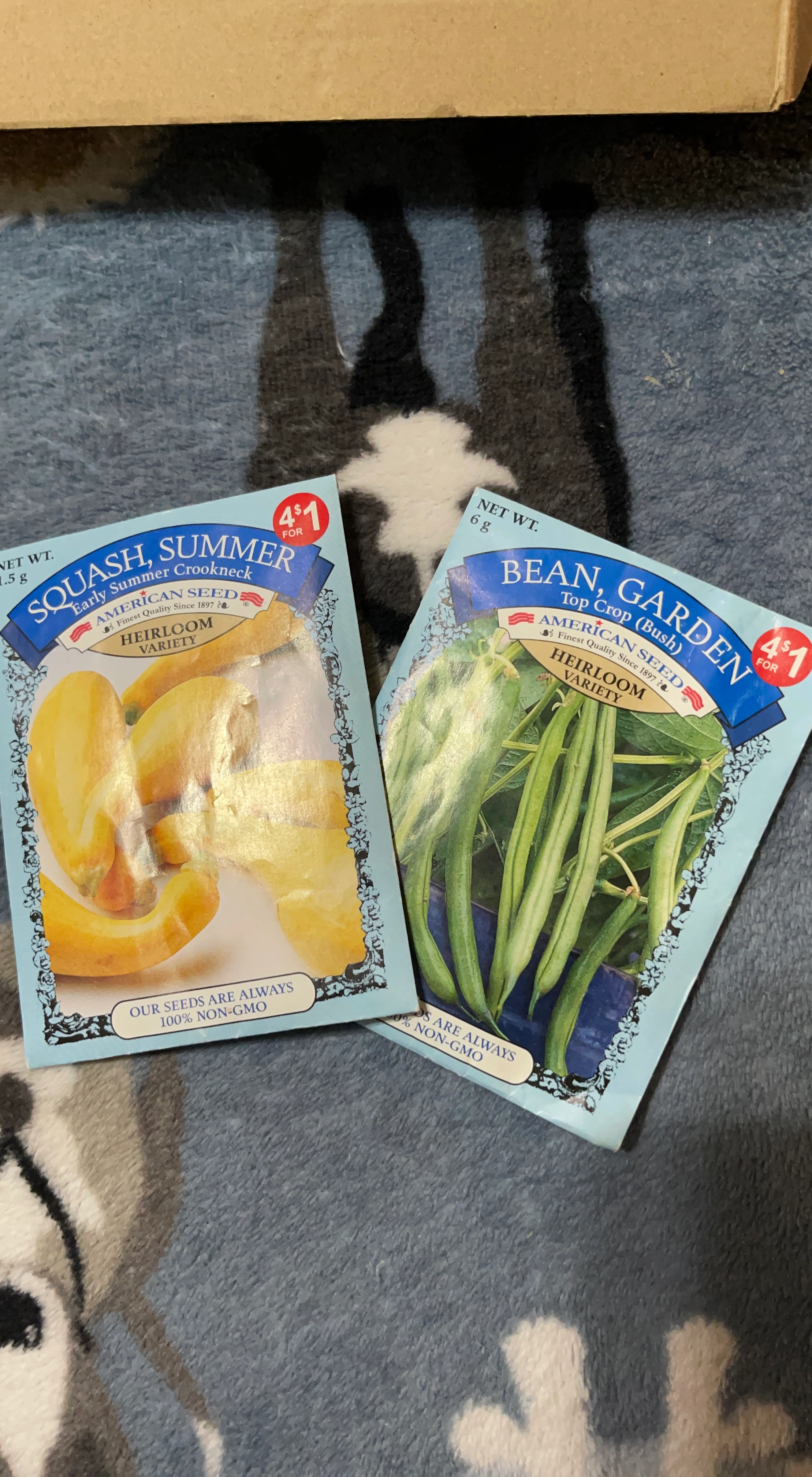 American Seed Summer Squash & Garden Bean Heirloom Seeds
