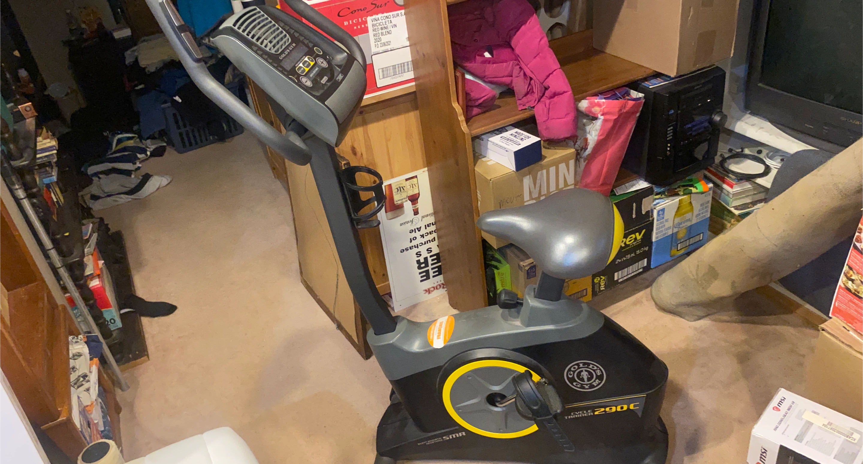 Gold's Gym 290C Cycle Trainer