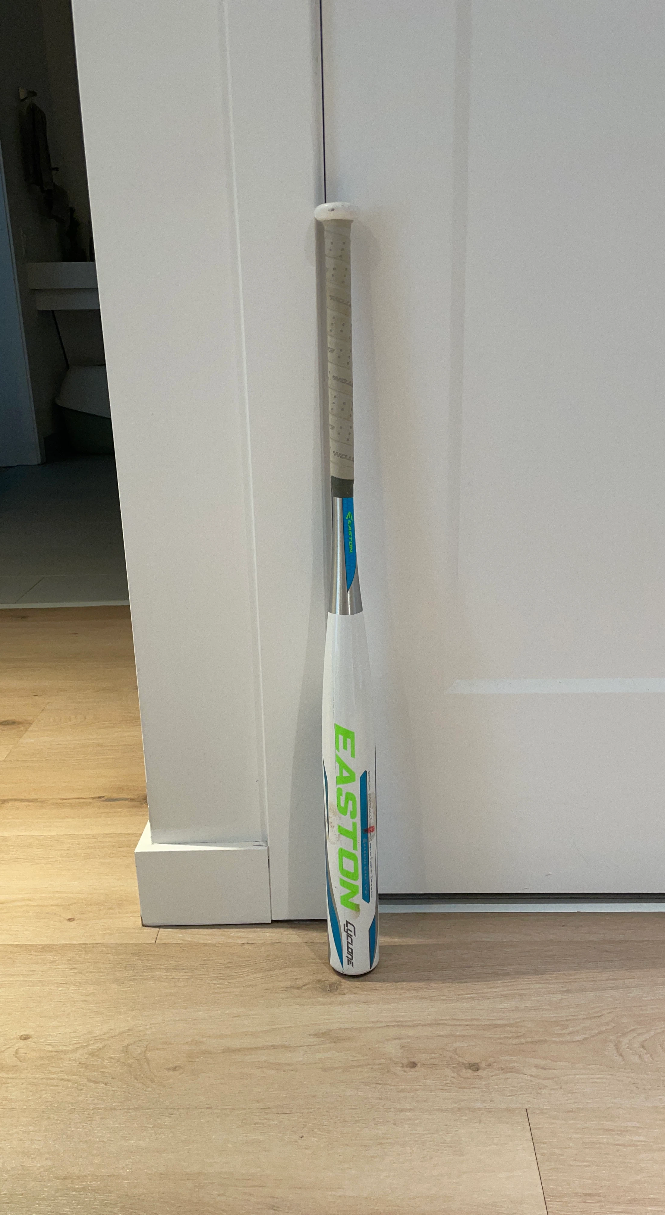 Easton Cyclone Baseball Bat