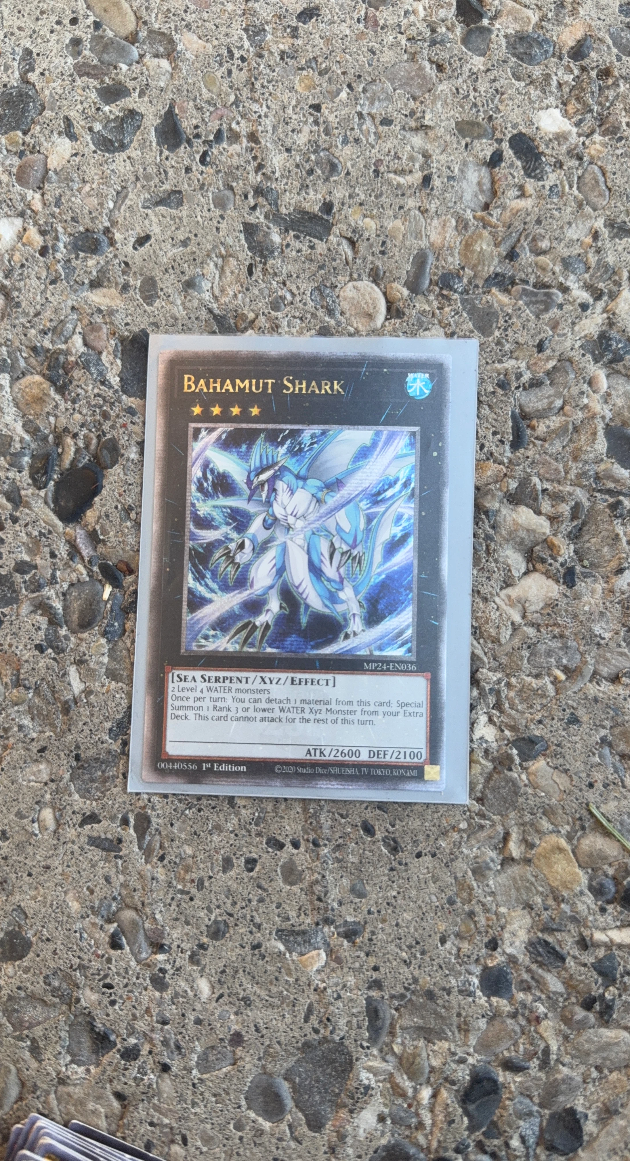 Yu-Gi-Oh! Bahamut Shark MP24-EN036 Trading Card