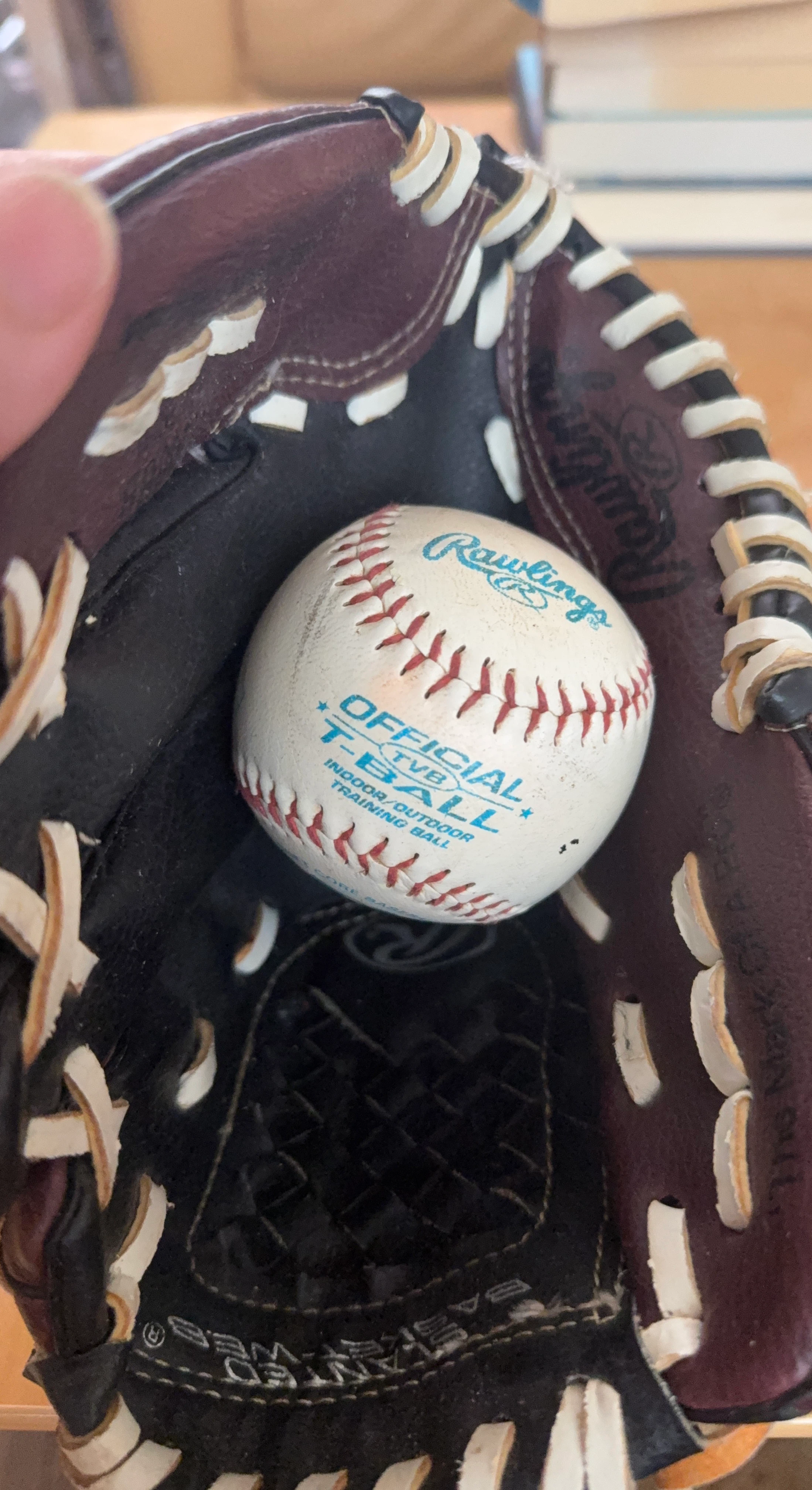 Rawlings Baseball Glove and Ball Set