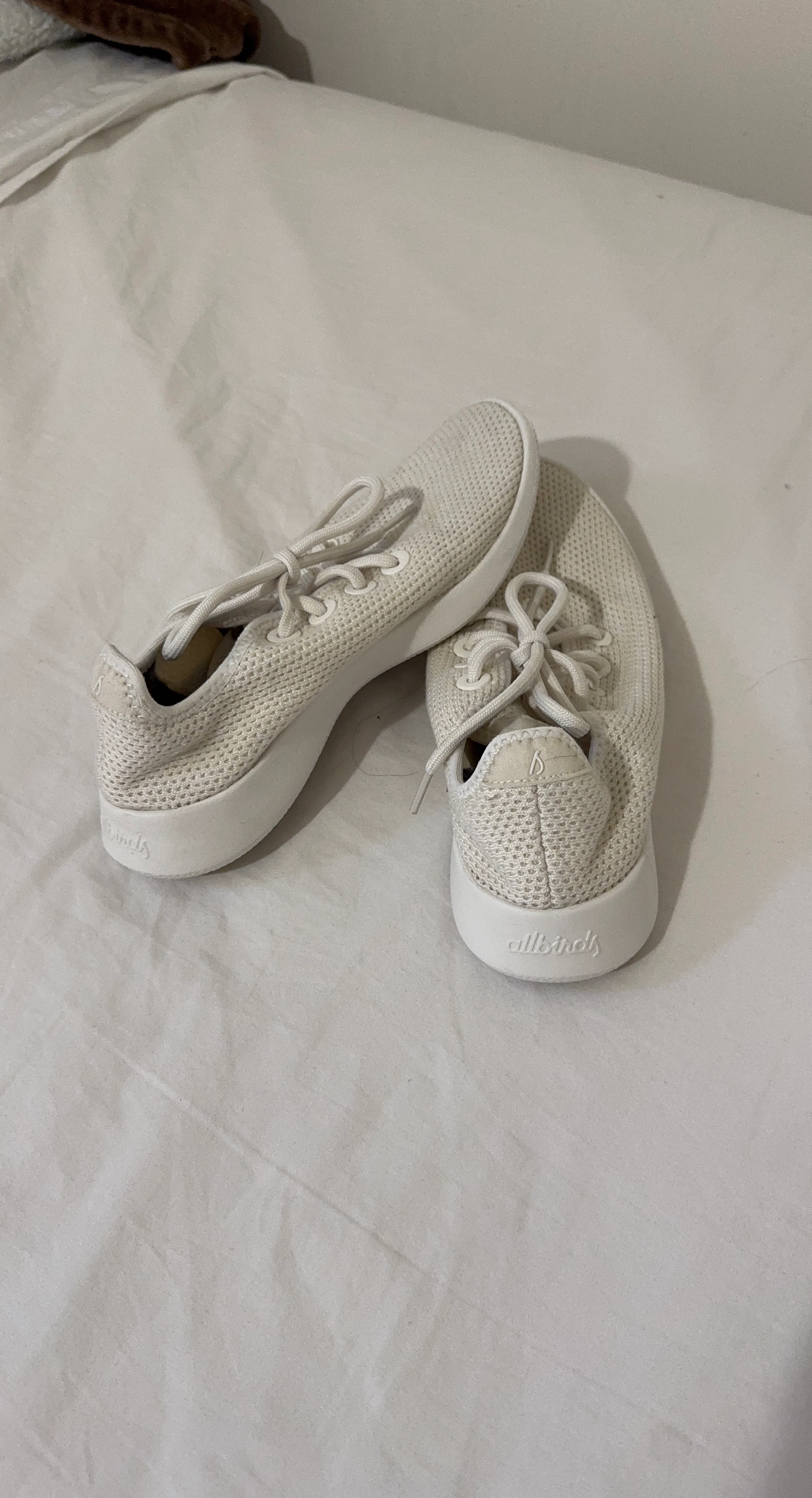 Allbirds White Sneakers