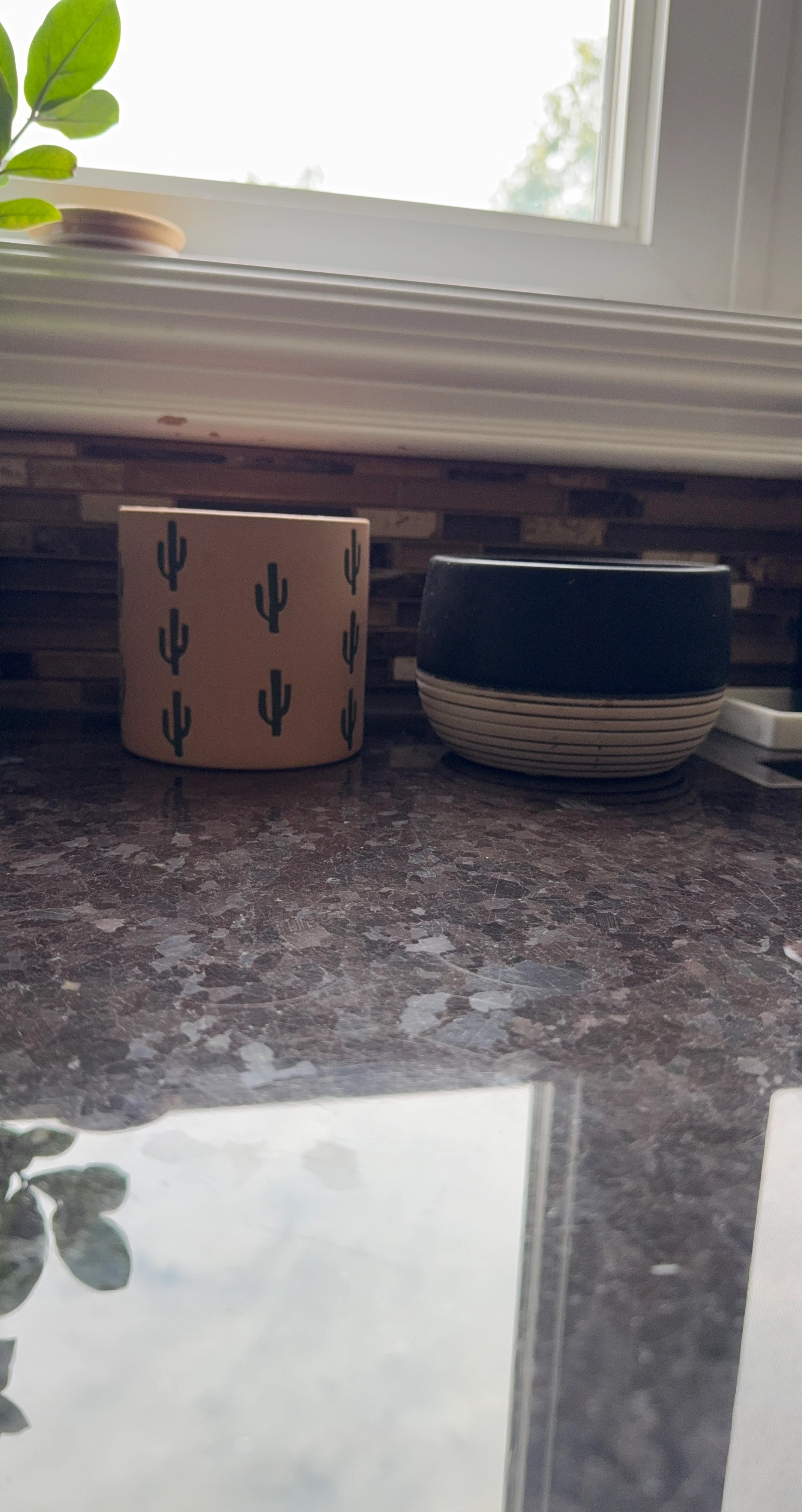 Ceramic pot with cactus design