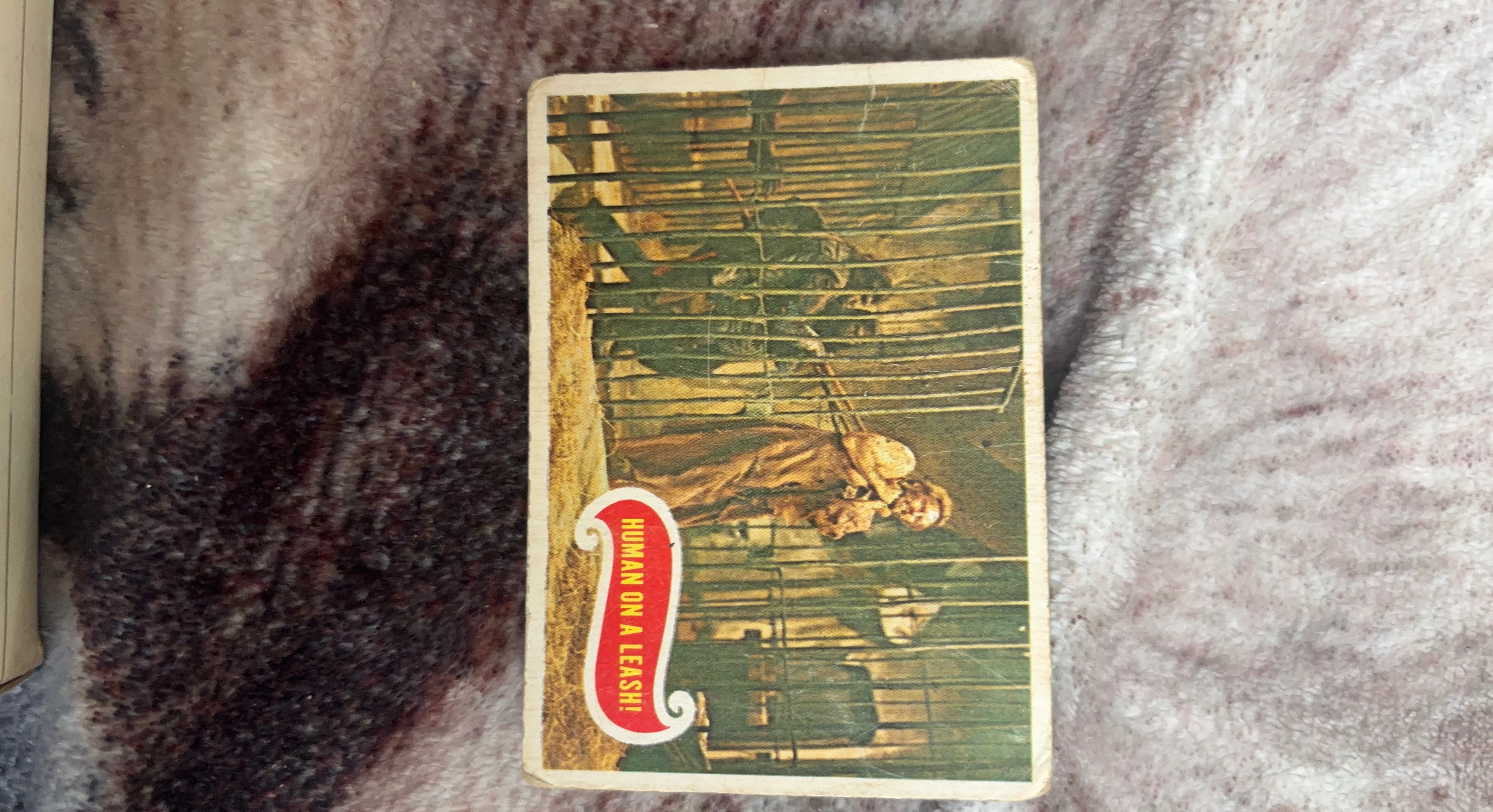 Vintage postcard - Human on a Leash!