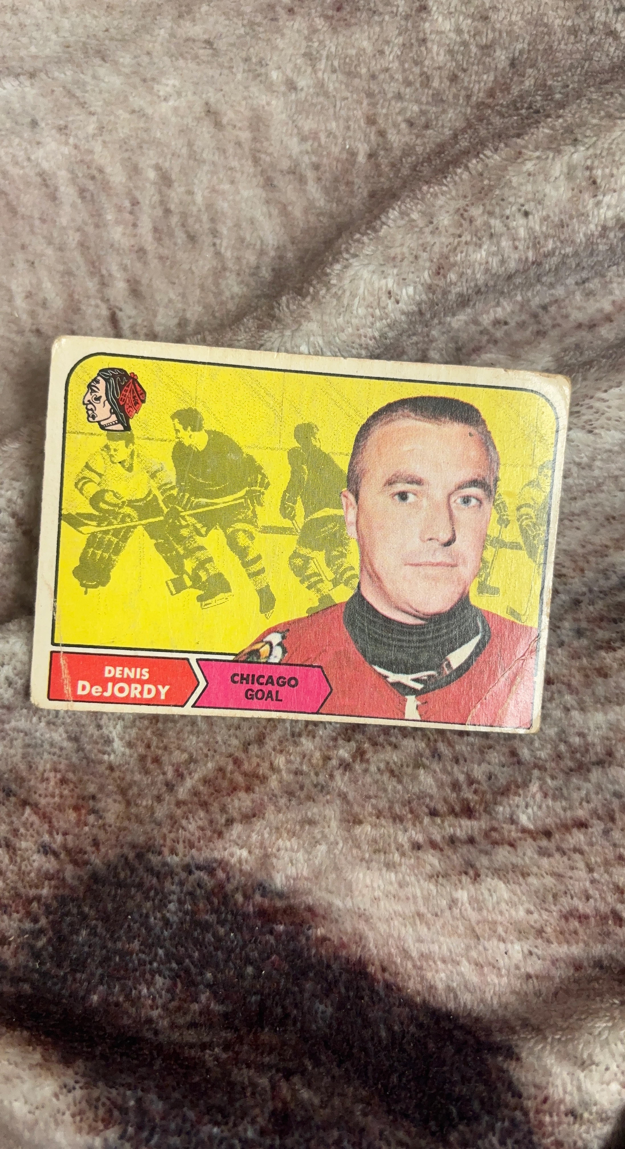 Denis DeJordy Chicago Goal Hockey Card