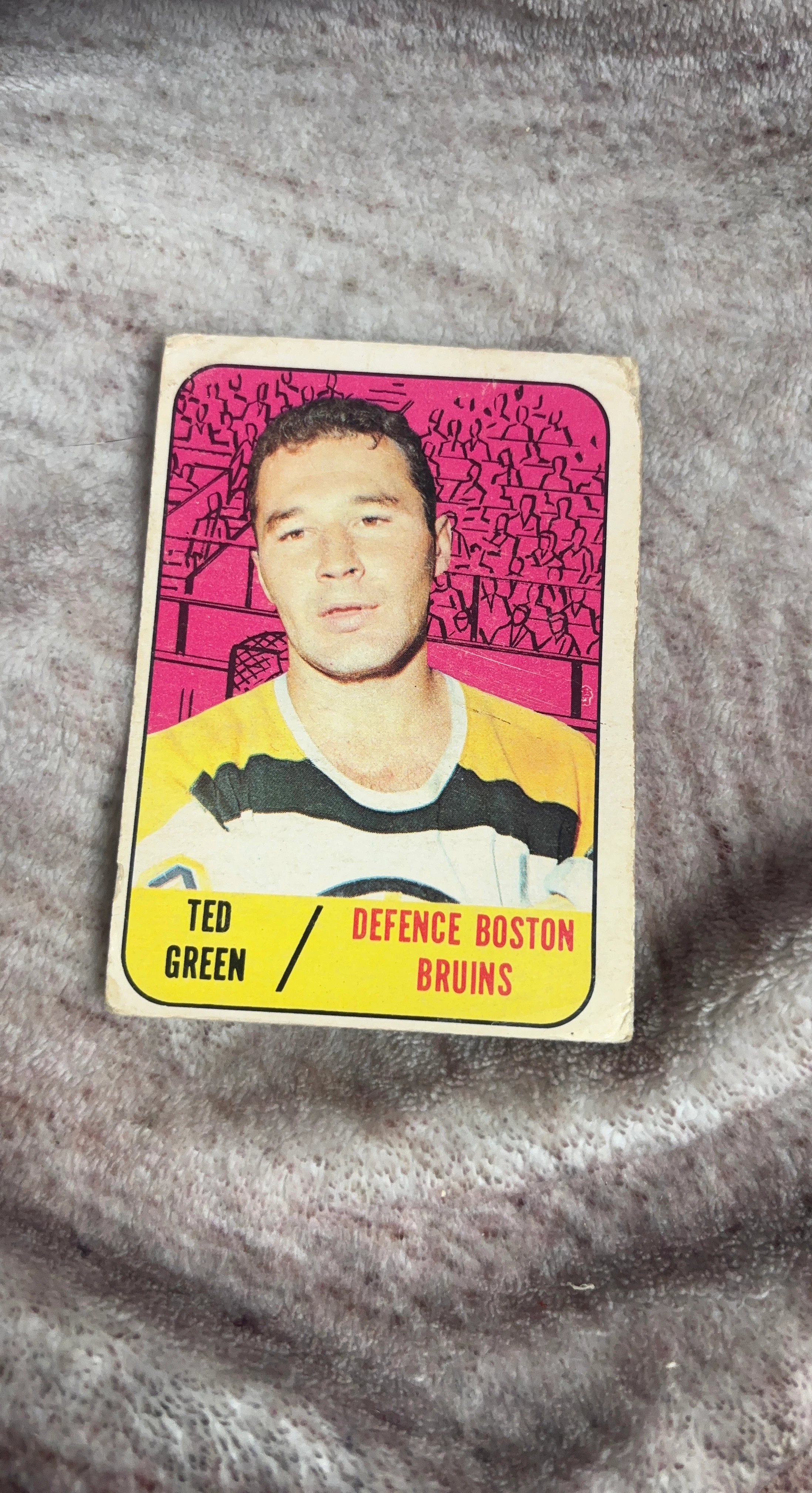 Ted Green Boston Bruins Hockey Card