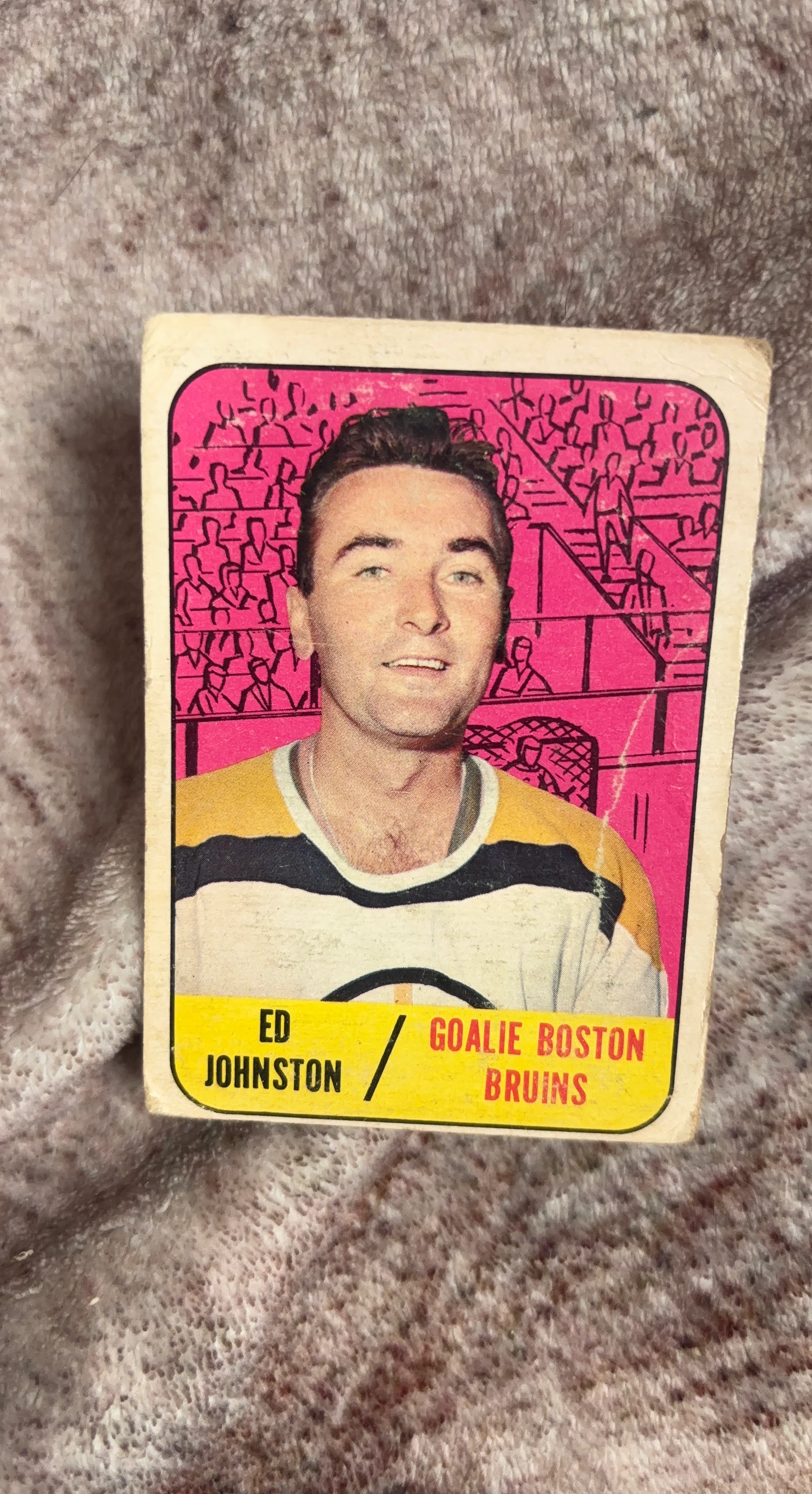 Ed Johnston Goalie Boston Bruins Hockey Card