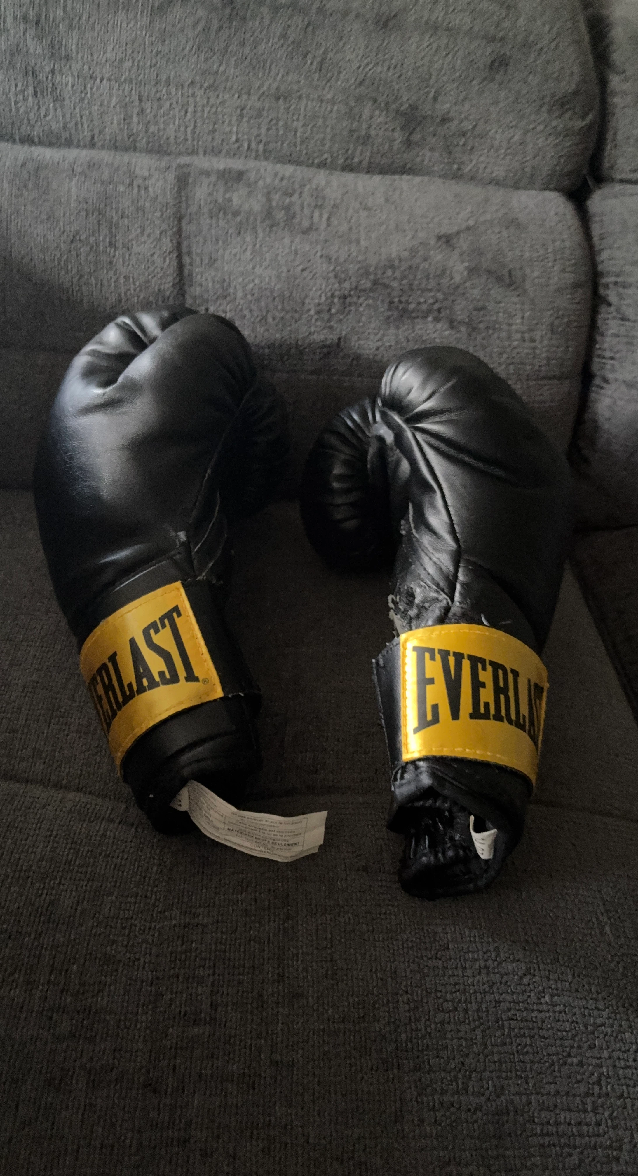 Everlast Boxing Gloves