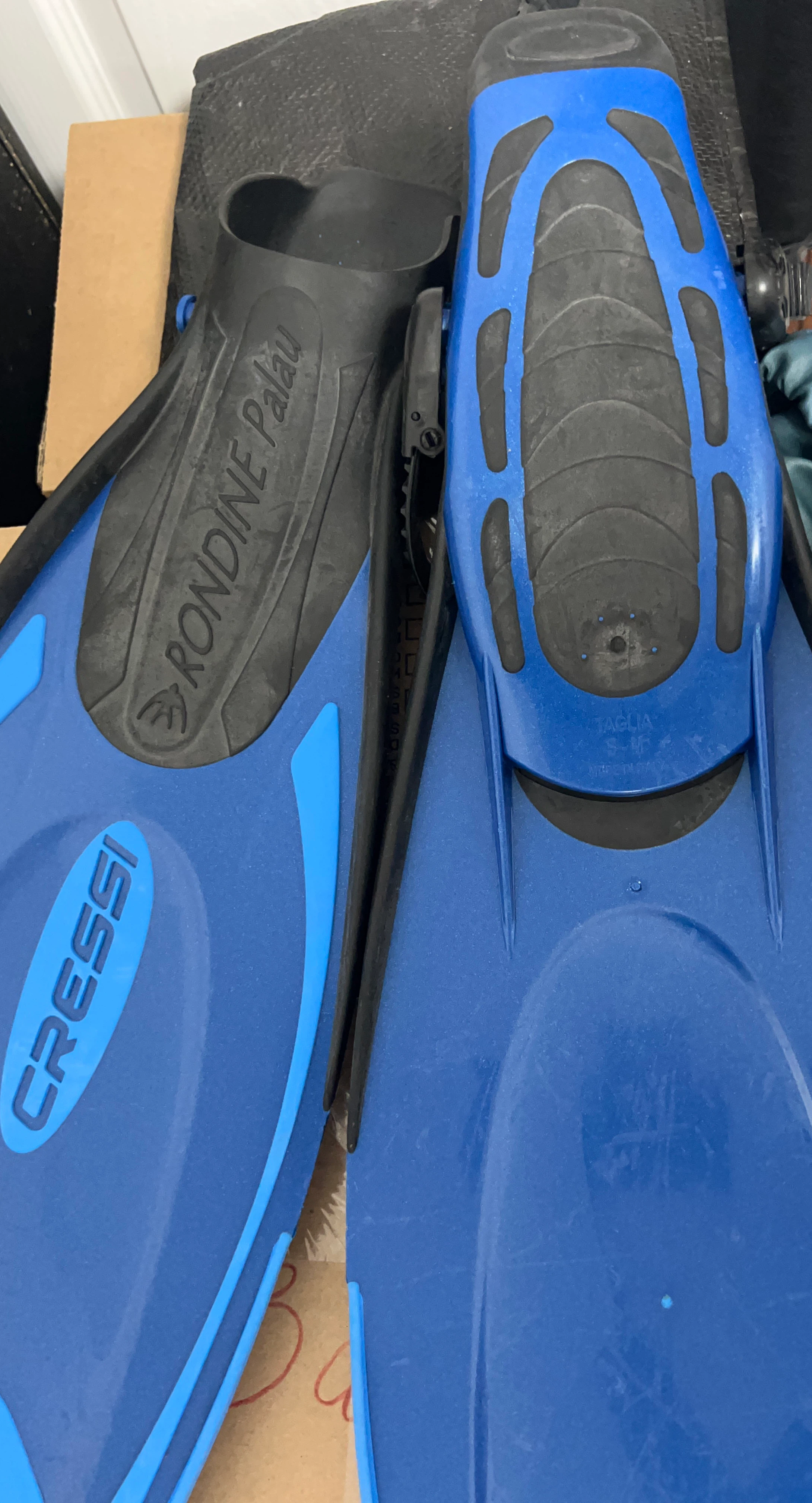 Cressi Rondine Palau Fins