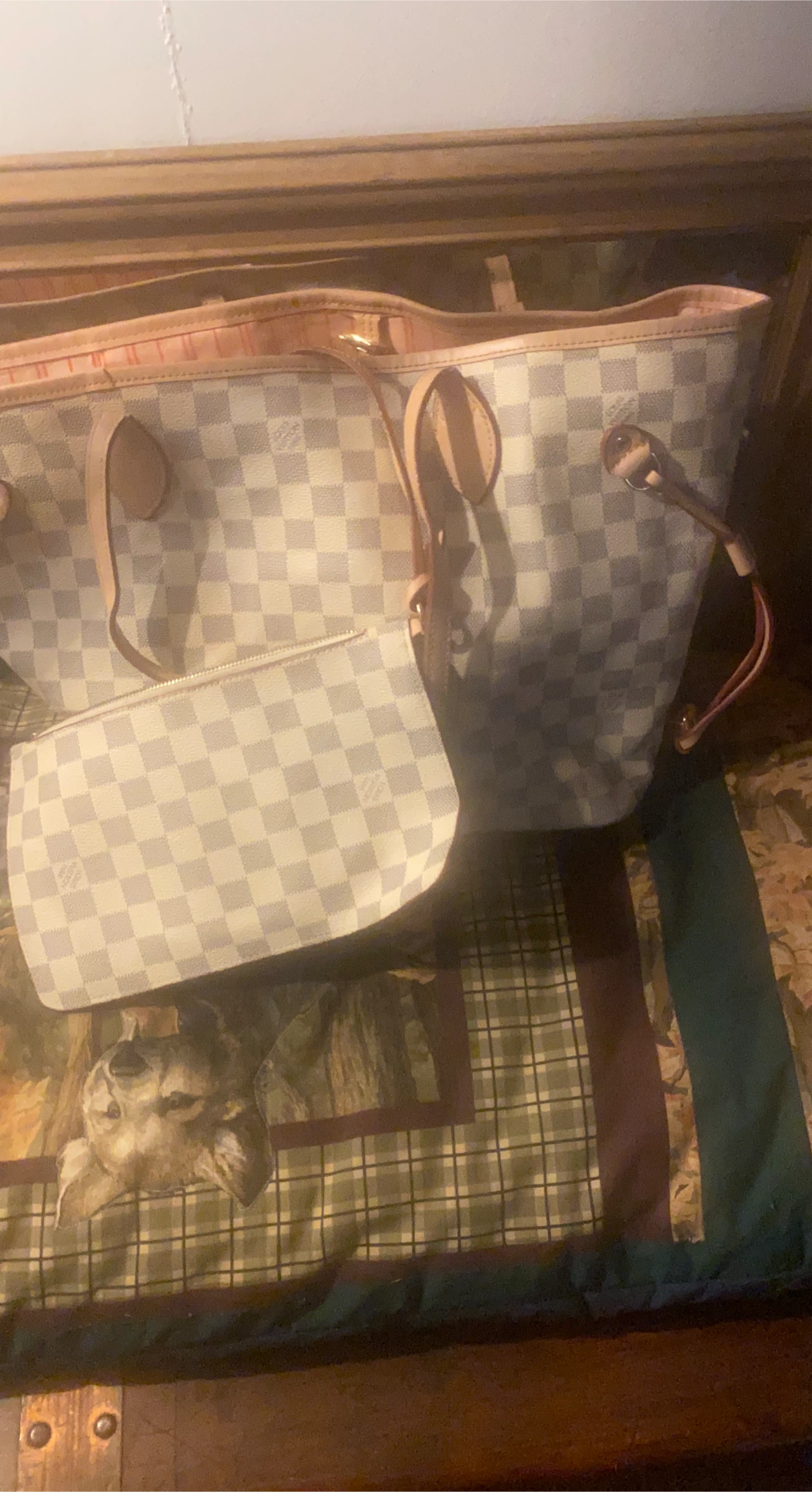 Louis Vuitton Tote Bag with Pouch