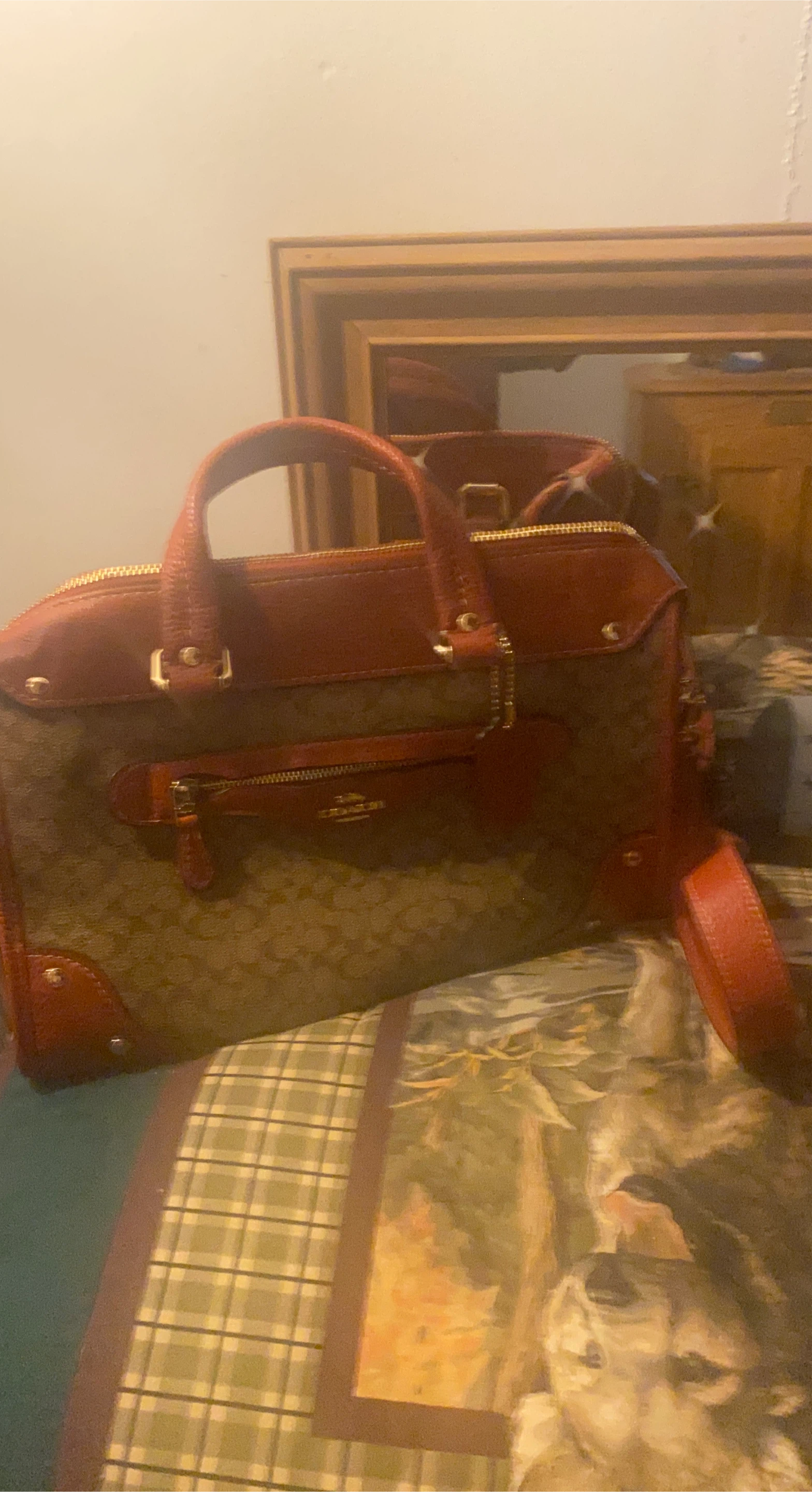 Coach MN Sig Mill Satchel Handbag