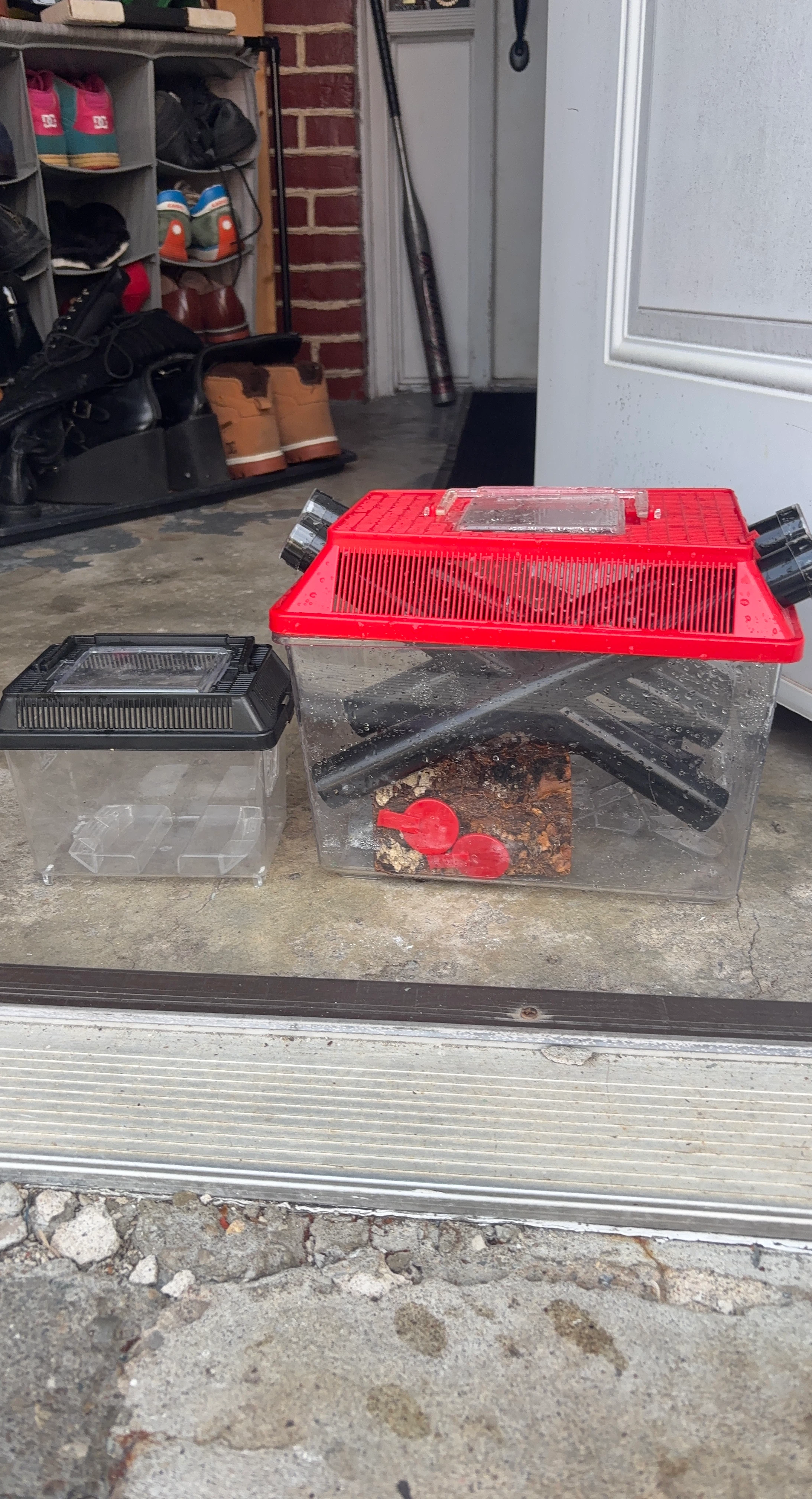 Two Reptile Terrariums for Small Pets