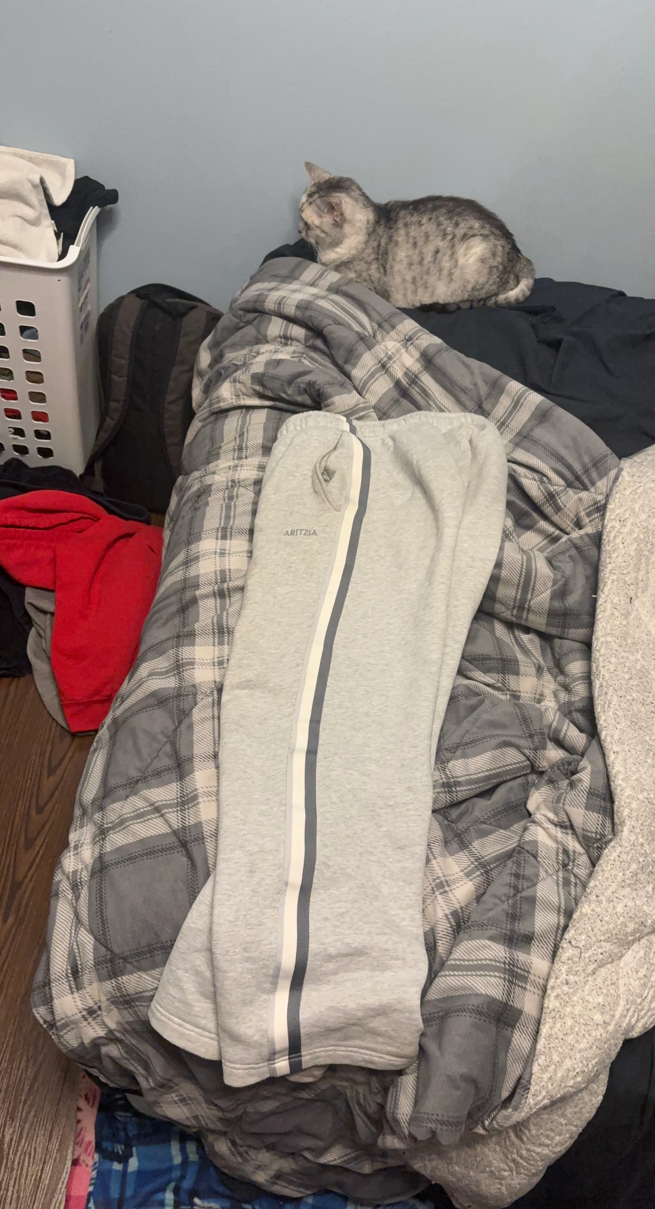 Aritzia Grey Sweatpants